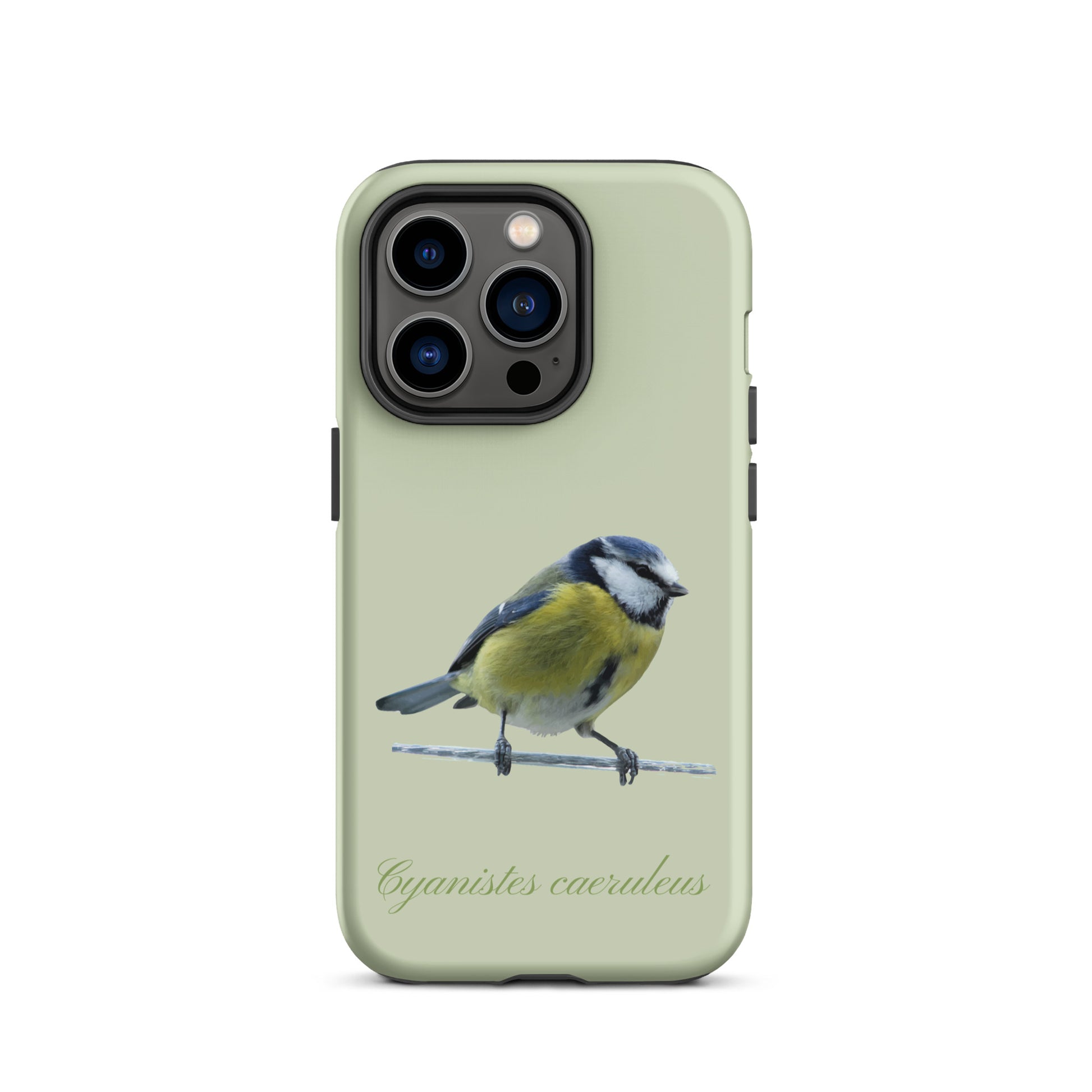 Schutzhülle für Apple iPhone: iPhone Case - Blaumeise - Hellgrün 