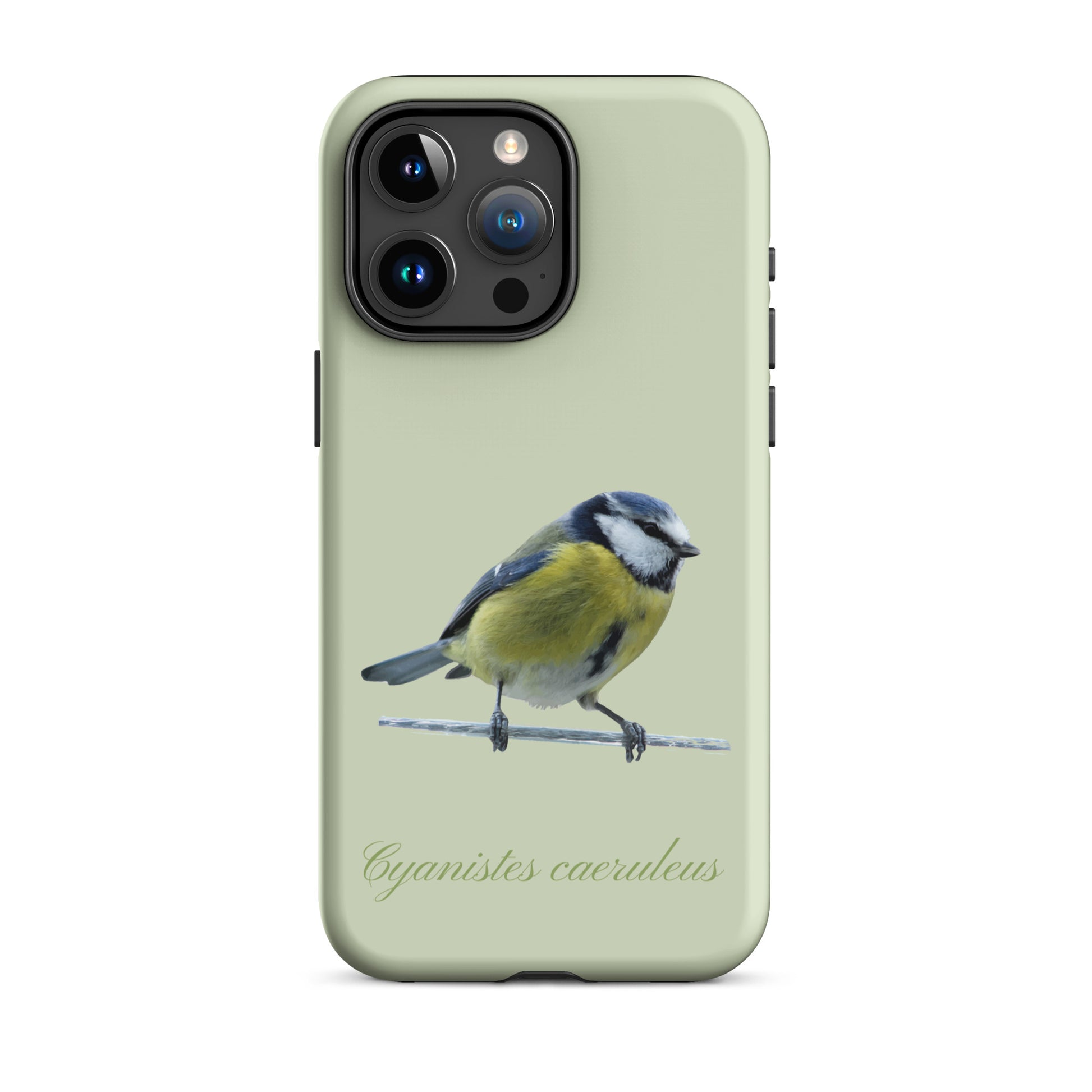 Schutzhülle für Apple iPhone: iPhone Case - Blaumeise - Hellgrün 