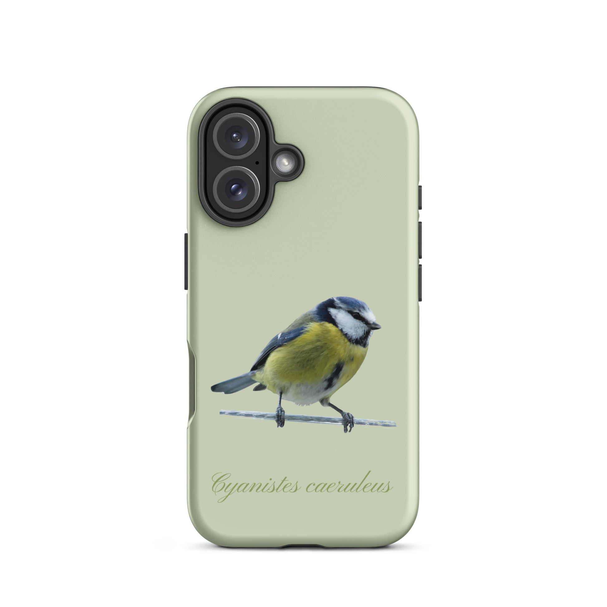 Schutzhülle für Apple iPhone: iPhone Case - Blaumeise - Hellgrün 