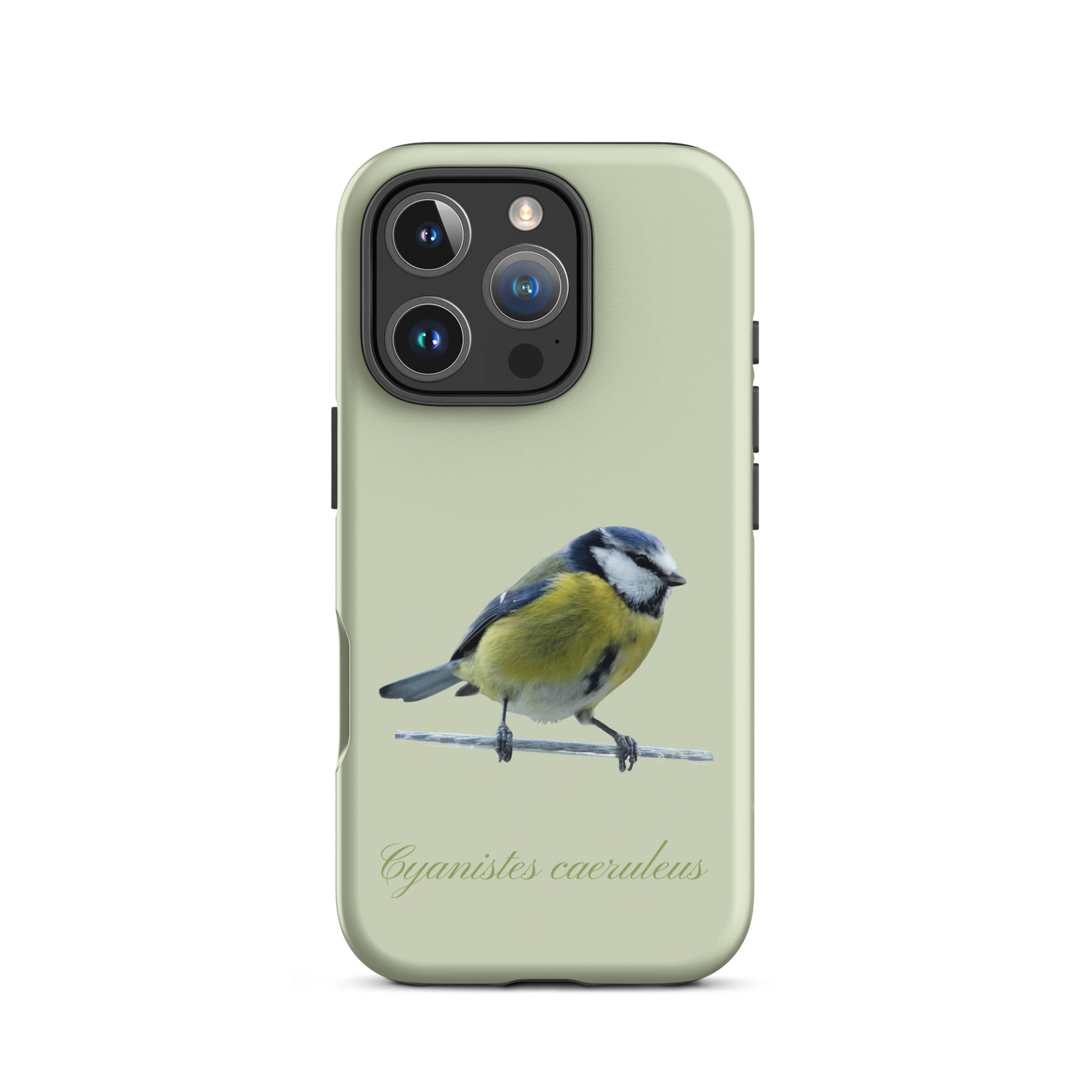 Schutzhülle für Apple iPhone: iPhone Case - Blaumeise - Hellgrün 