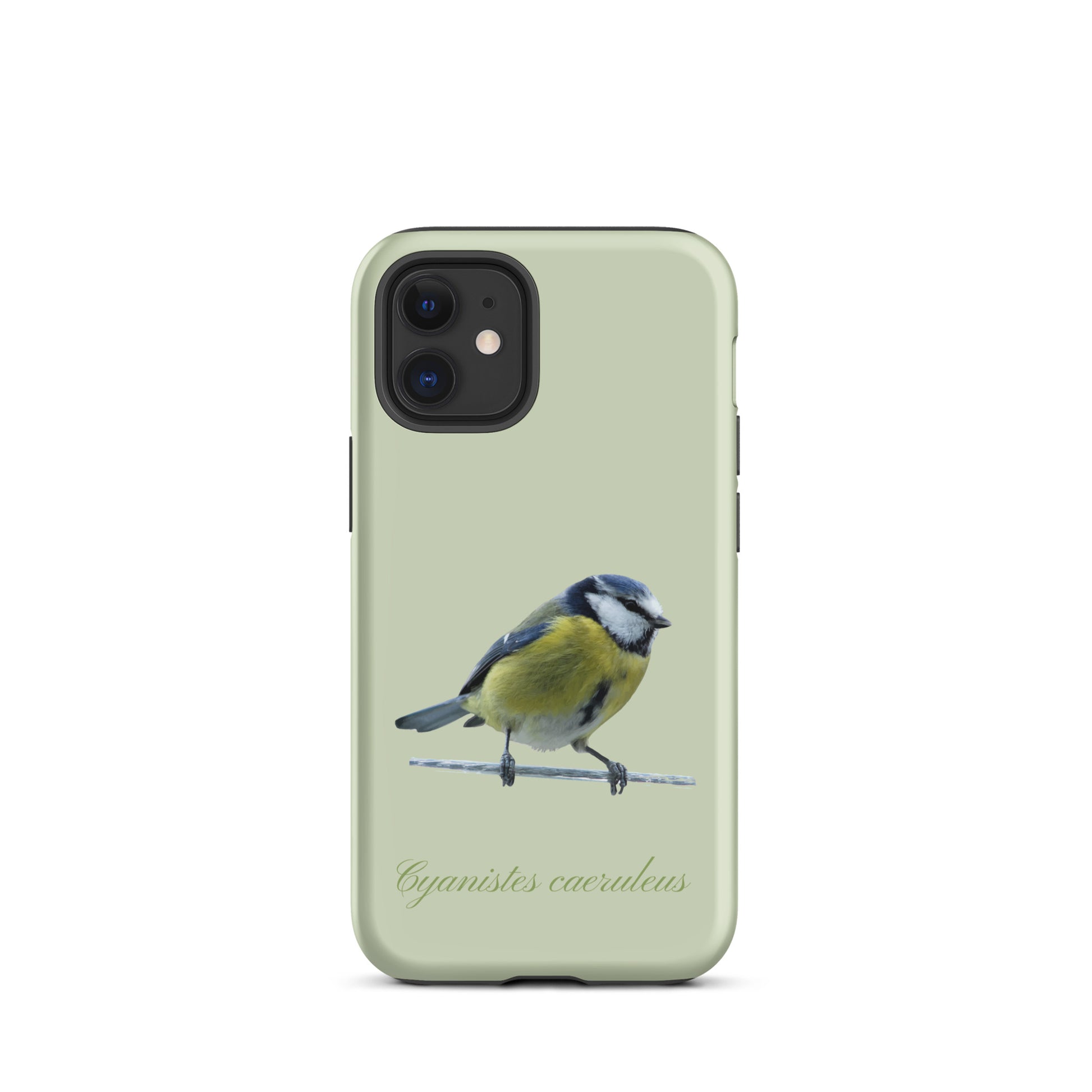 Schutzhülle für Apple iPhone: iPhone Case - Blaumeise - Hellgrün 