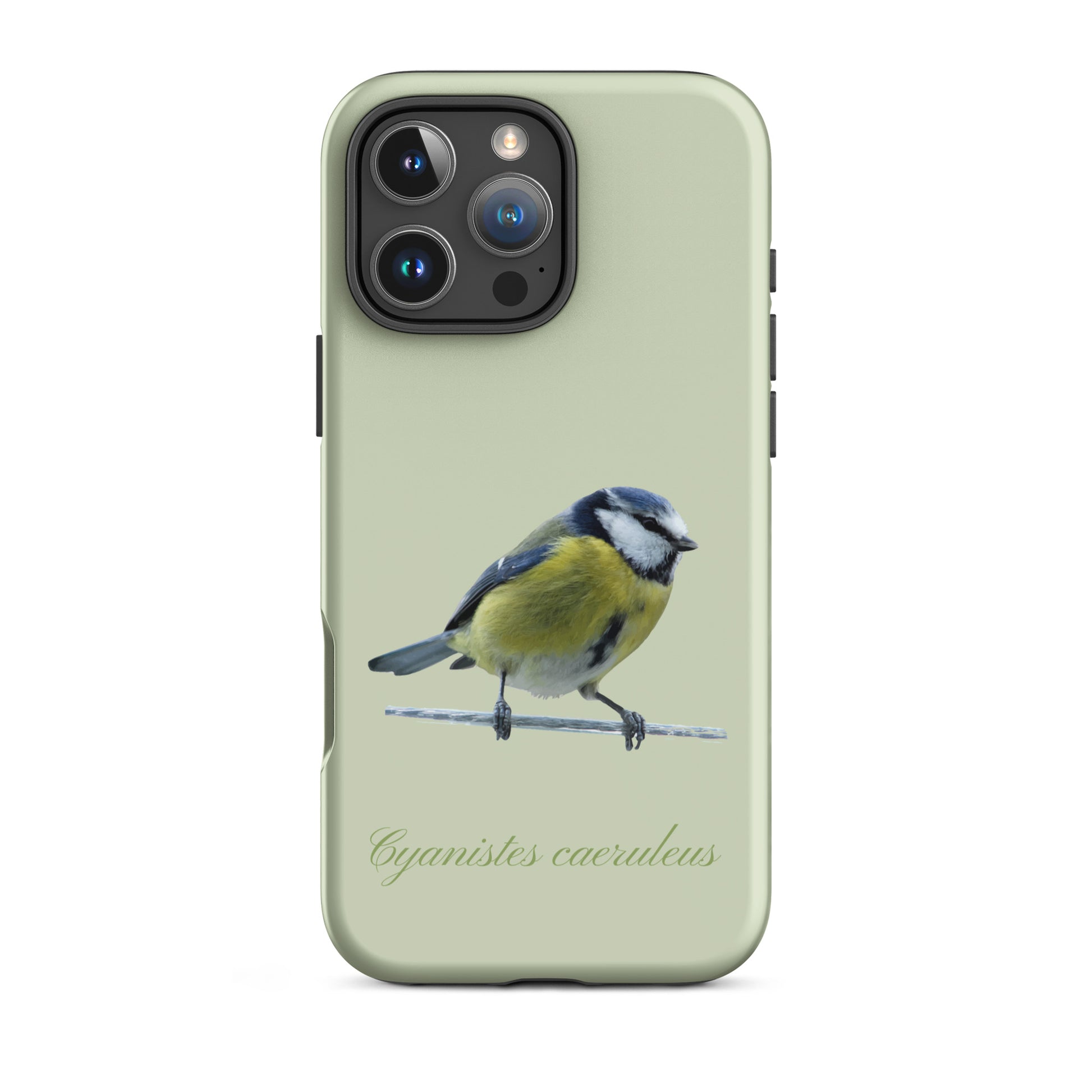 Schutzhülle für Apple iPhone: iPhone Case - Blaumeise - Hellgrün 