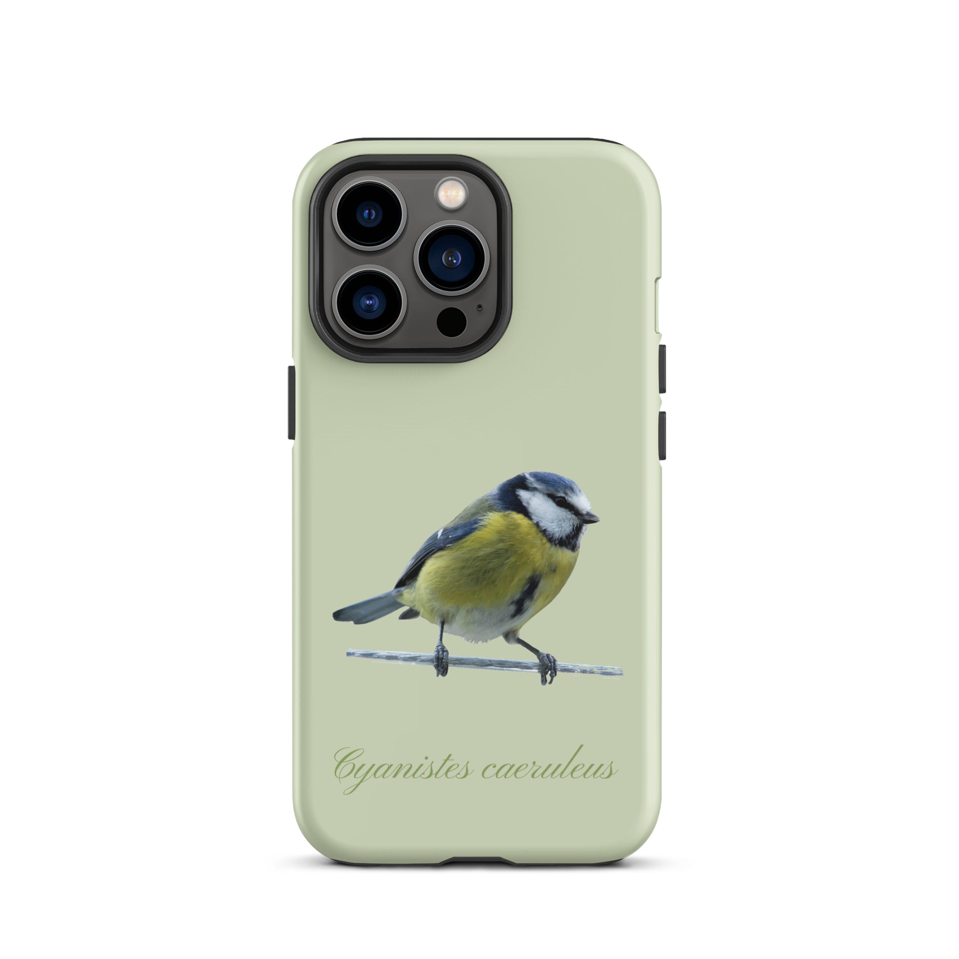 Schutzhülle für Apple iPhone: iPhone Case - Blaumeise - Hellgrün 