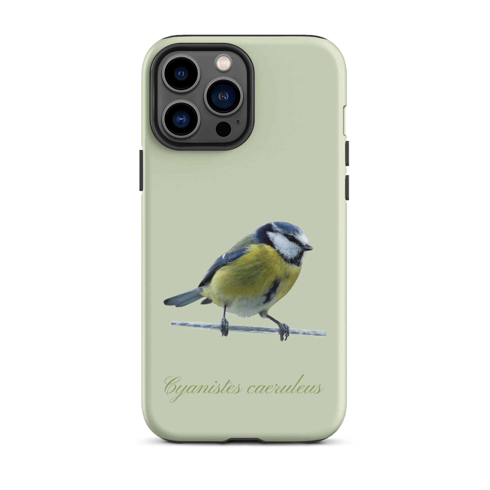 Schutzhülle für Apple iPhone: iPhone Case - Blaumeise - Hellgrün 