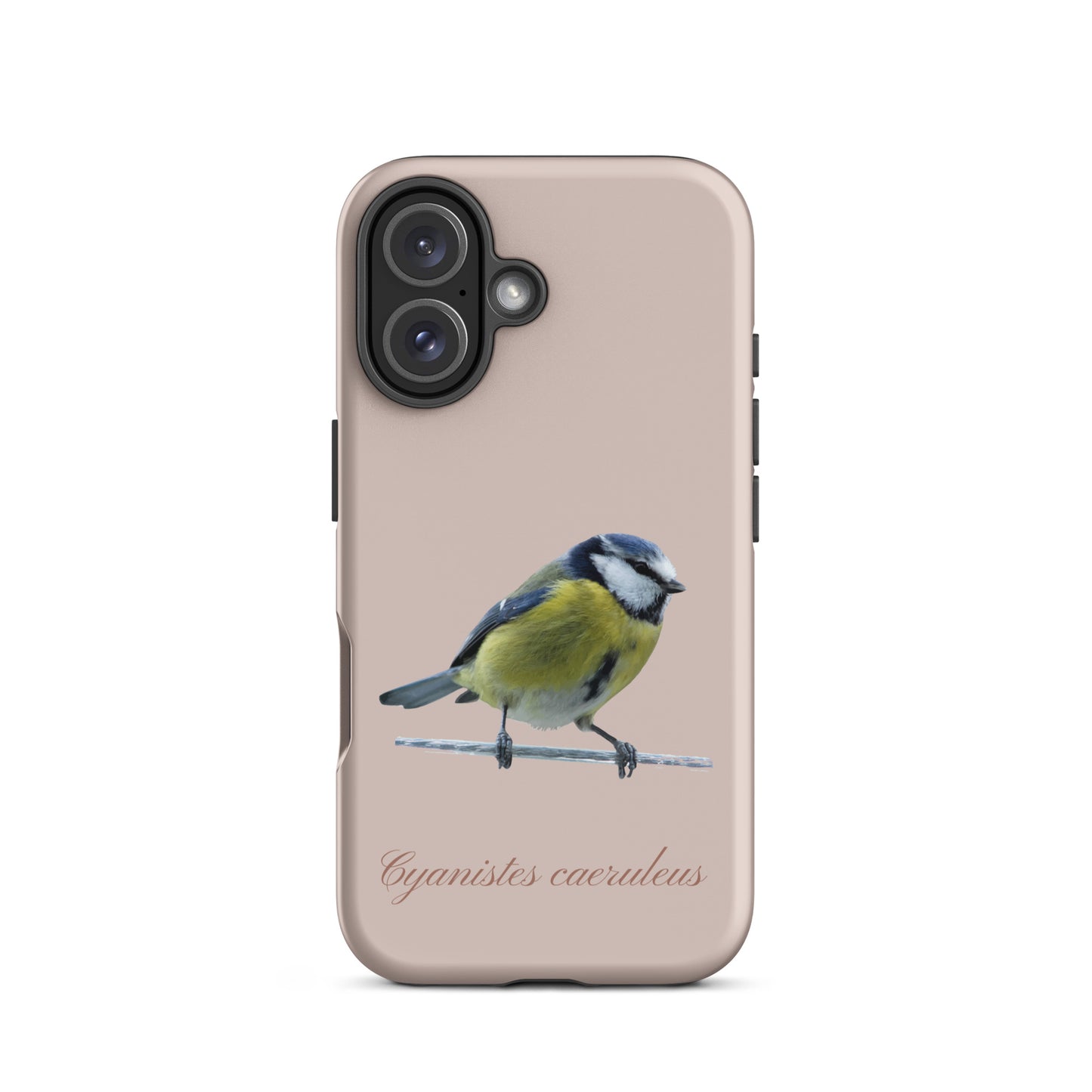 Schutzhülle für Apple iPhone: iPhone Case - Blaumeise - Rosa 