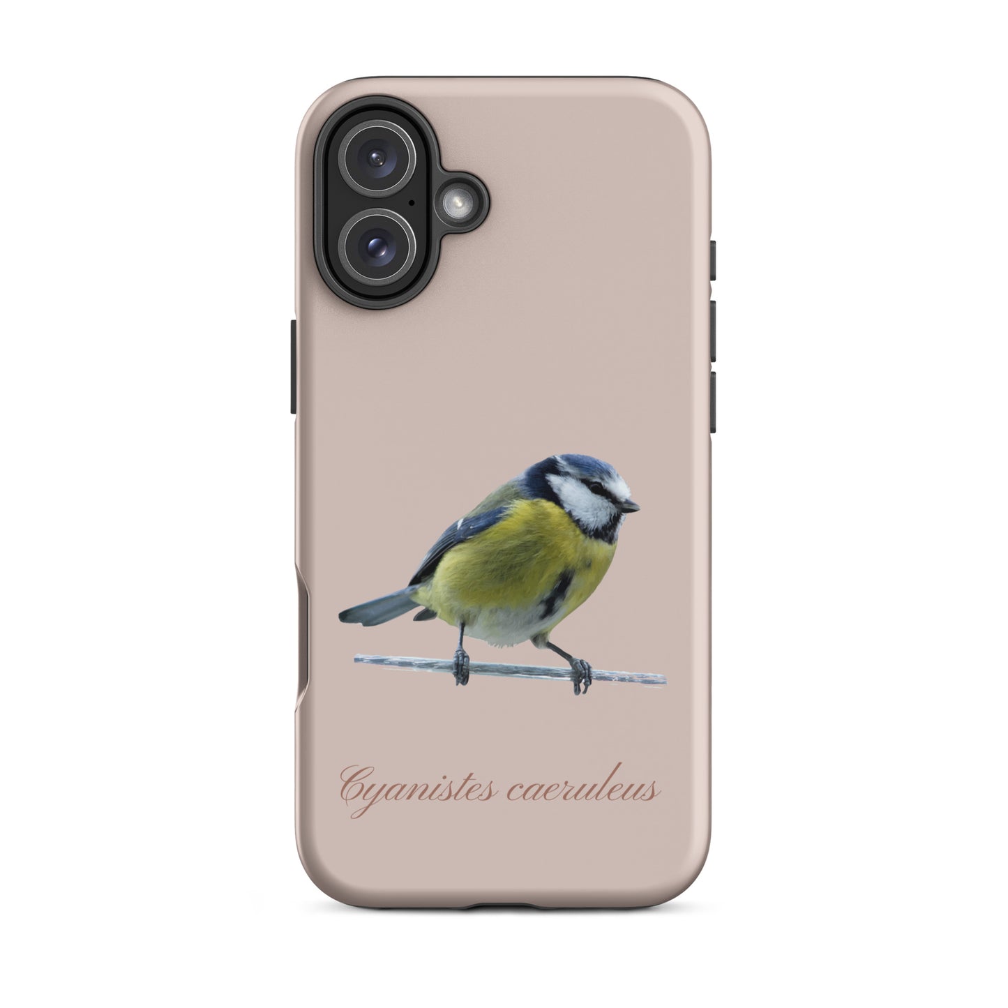 Schutzhülle für Apple iPhone: iPhone Case - Blaumeise - Rosa 