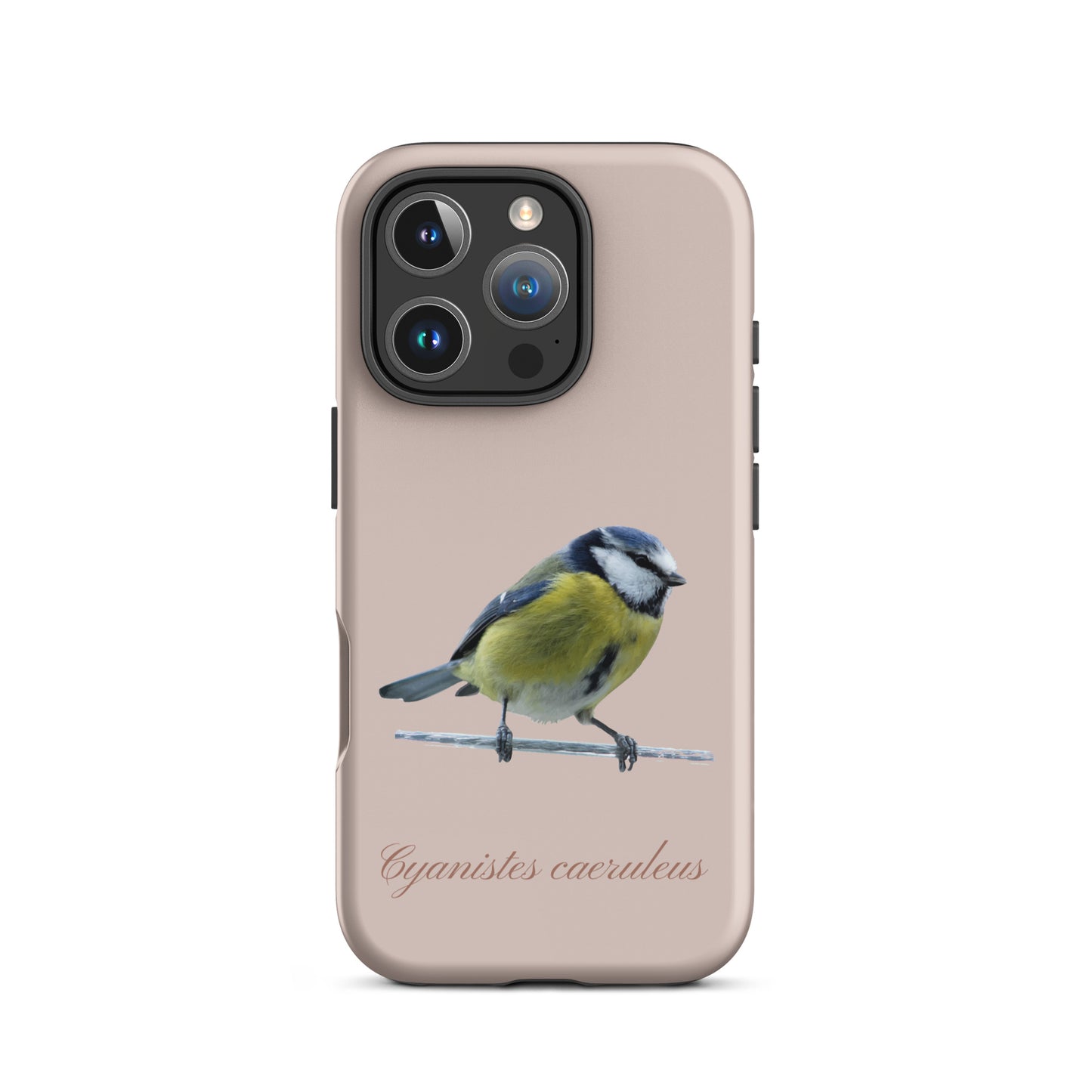 Schutzhülle für Apple iPhone: iPhone Case - Blaumeise - Rosa 