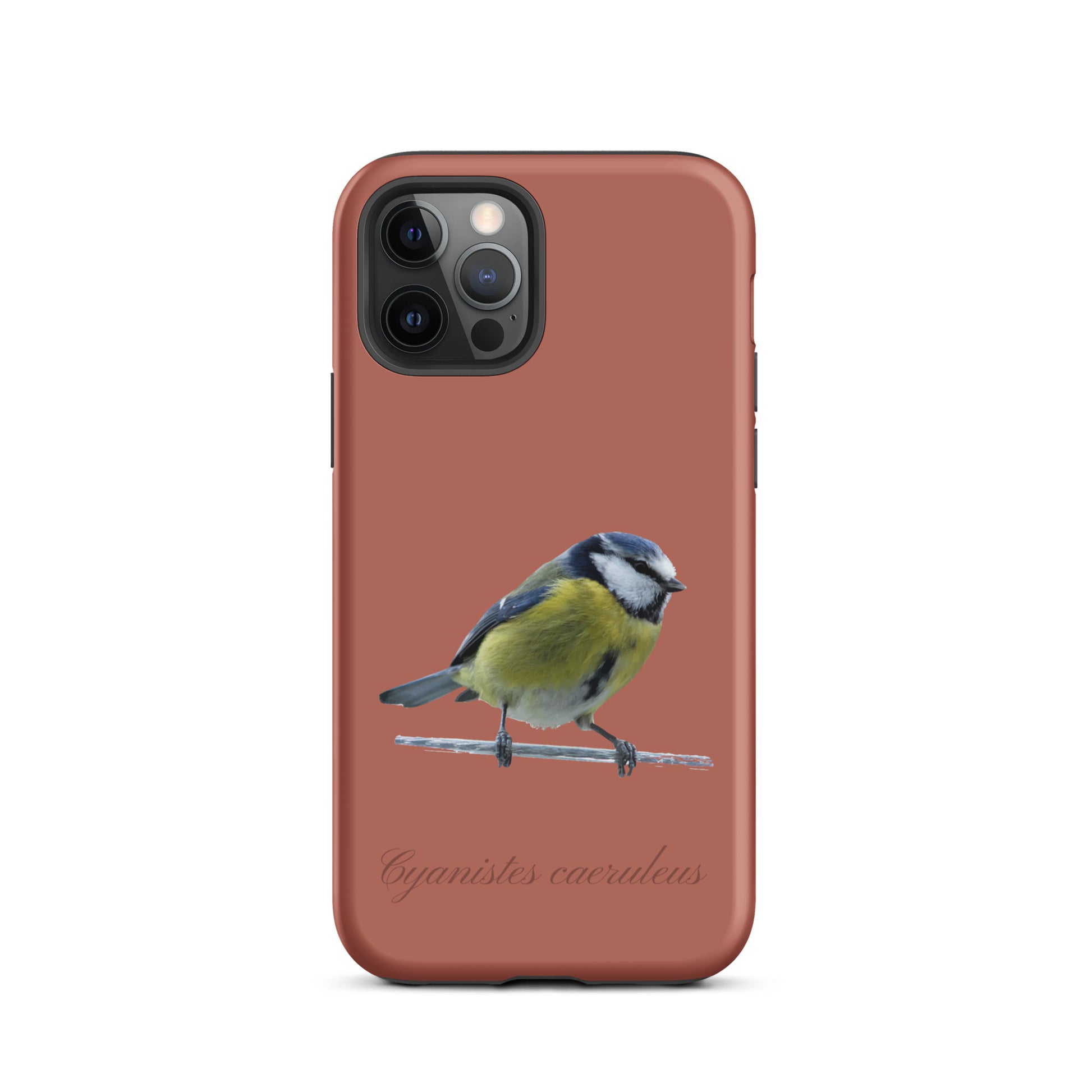 Schutzhülle für Apple iPhone: iPhone Case - Blaumeise - Ziegelrot 