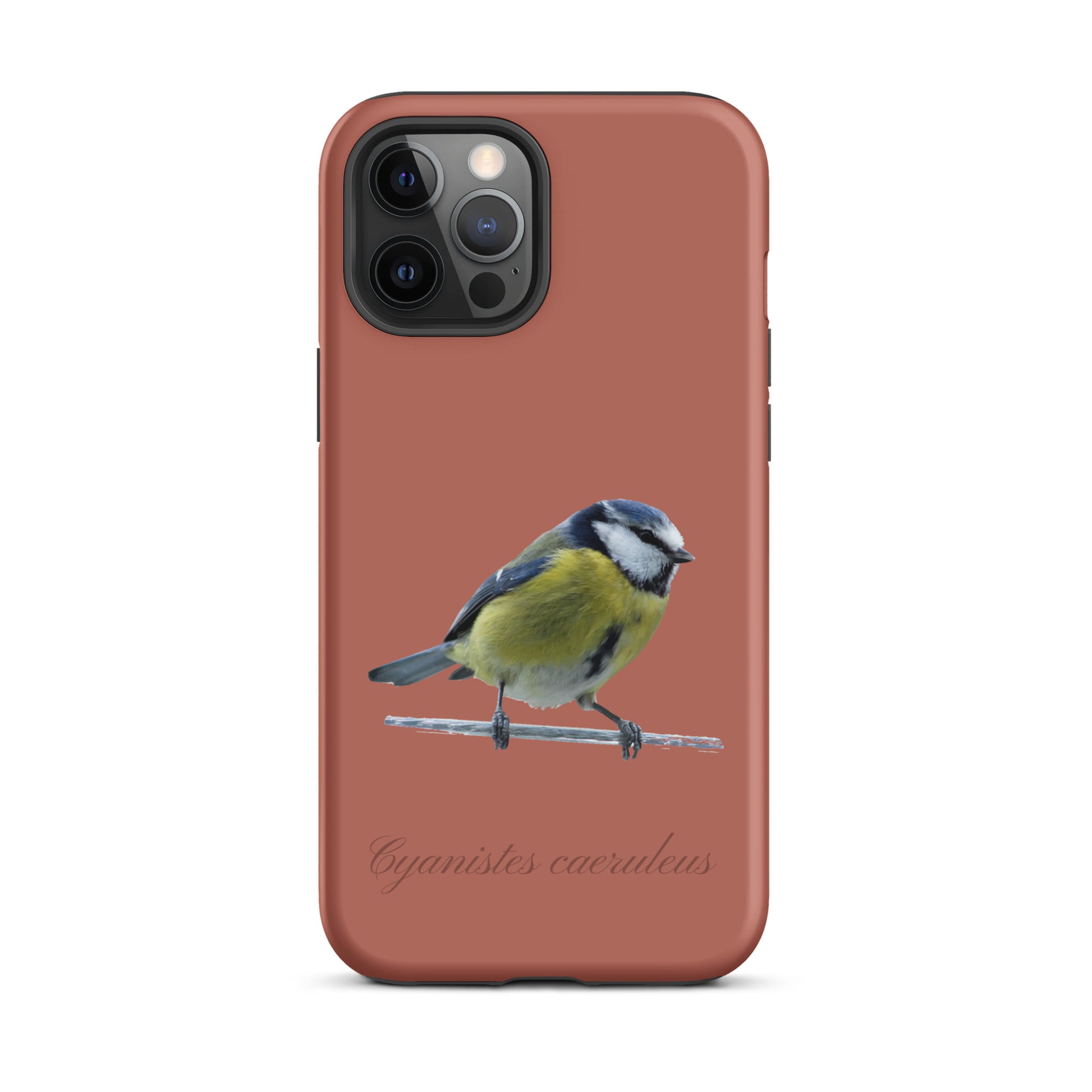 Schutzhülle für Apple iPhone: iPhone Case - Blaumeise - Ziegelrot 