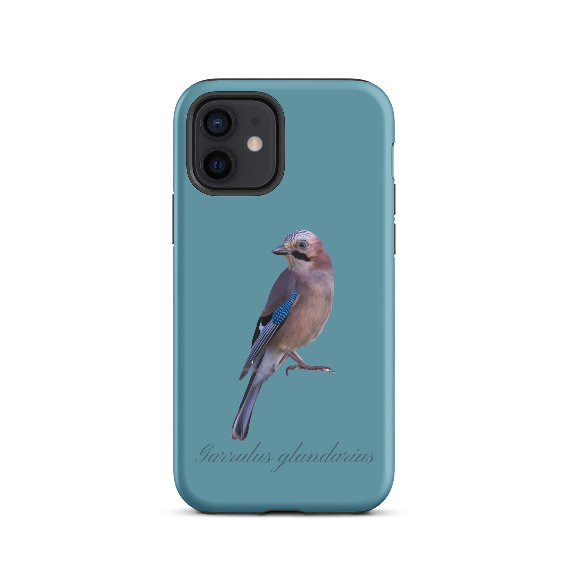 Schutzhülle für Apple iPhone: iPhone Case - Eichelhäher - Gletscherwasserblau 