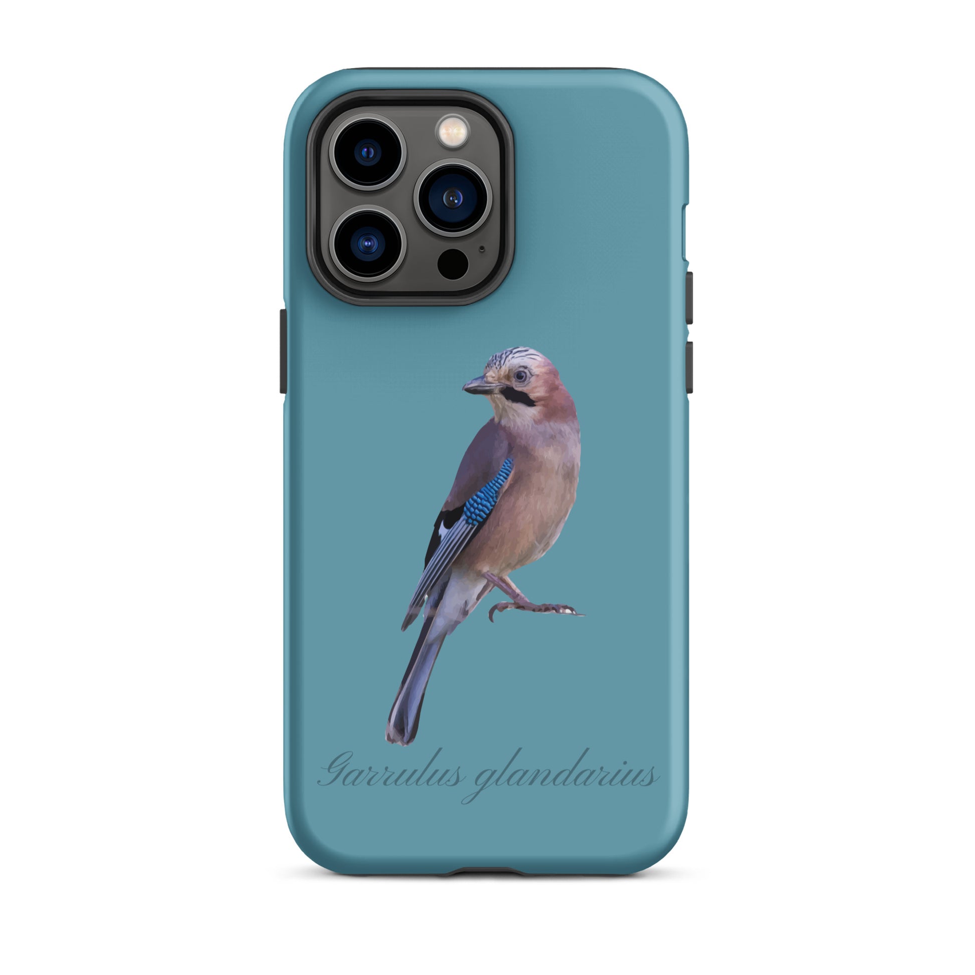 Schutzhülle für Apple iPhone: iPhone Case - Eichelhäher - Gletscherwasserblau 