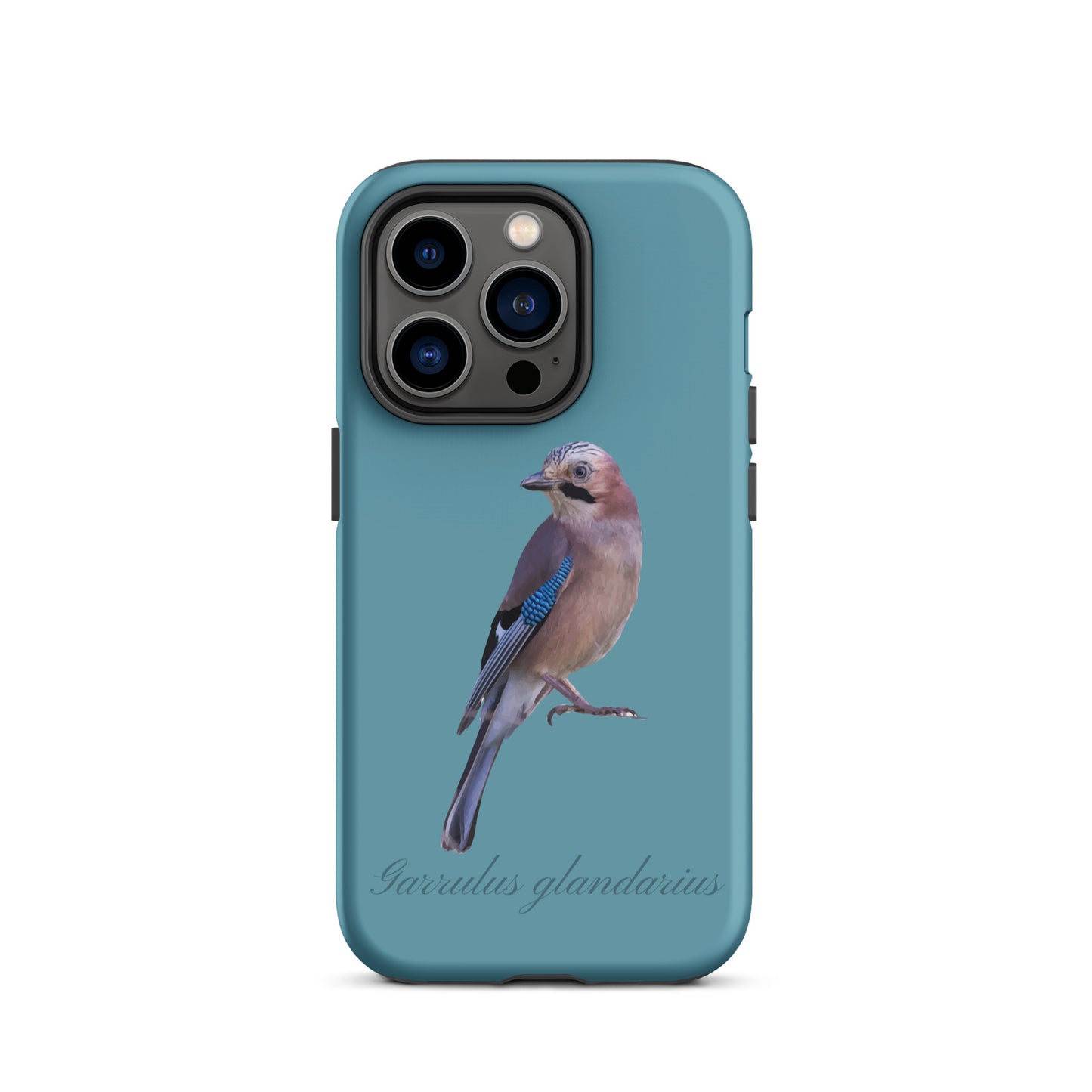Schutzhülle für Apple iPhone: iPhone Case - Eichelhäher - Gletscherwasserblau 