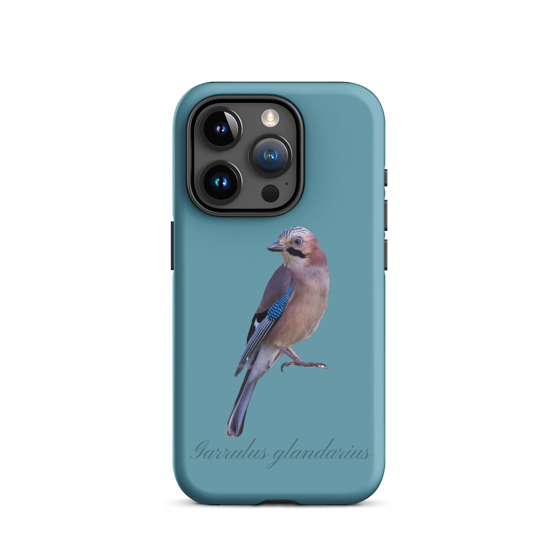 Schutzhülle für Apple iPhone: iPhone Case - Eichelhäher - Gletscherwasserblau 