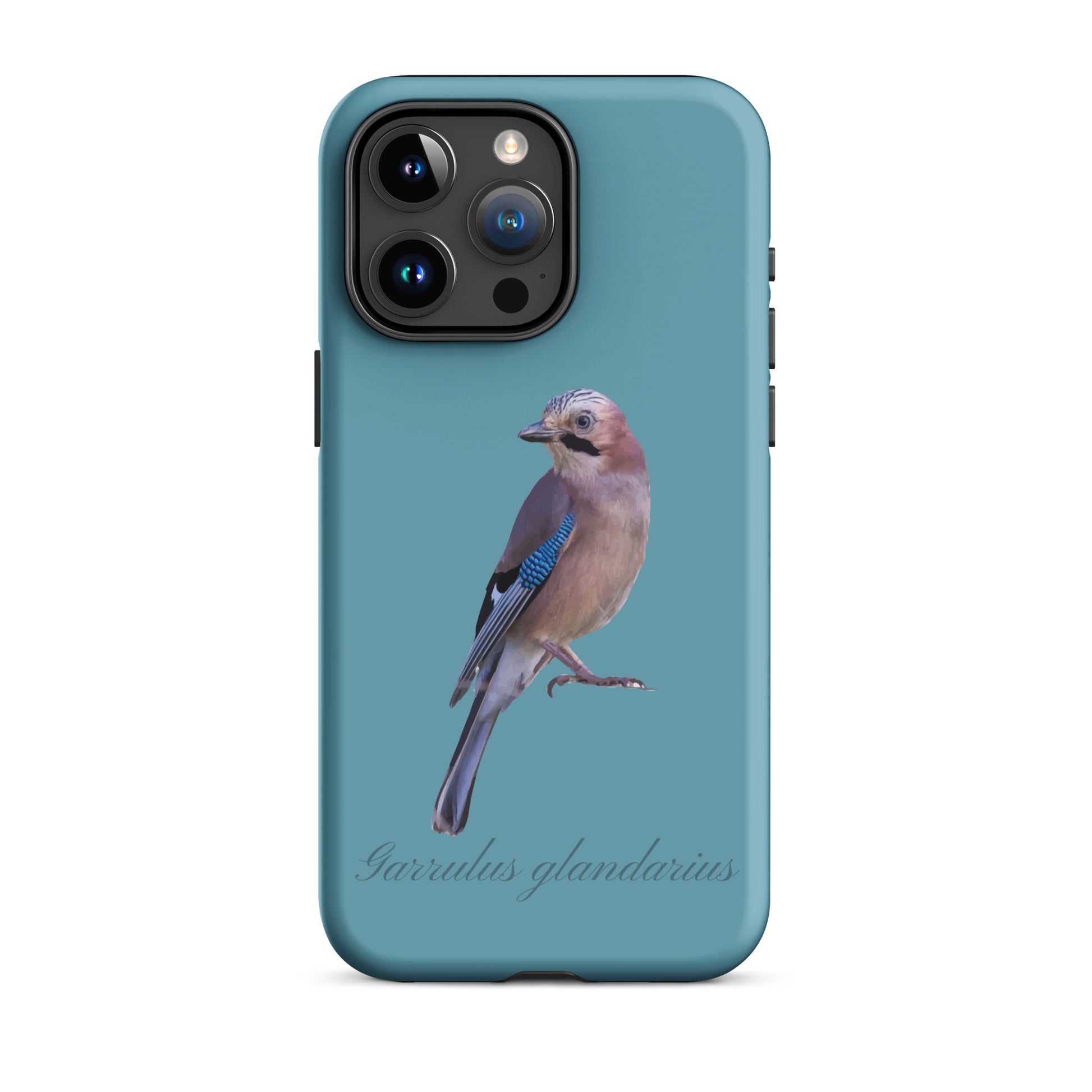 Schutzhülle für Apple iPhone: iPhone Case - Eichelhäher - Gletscherwasserblau 