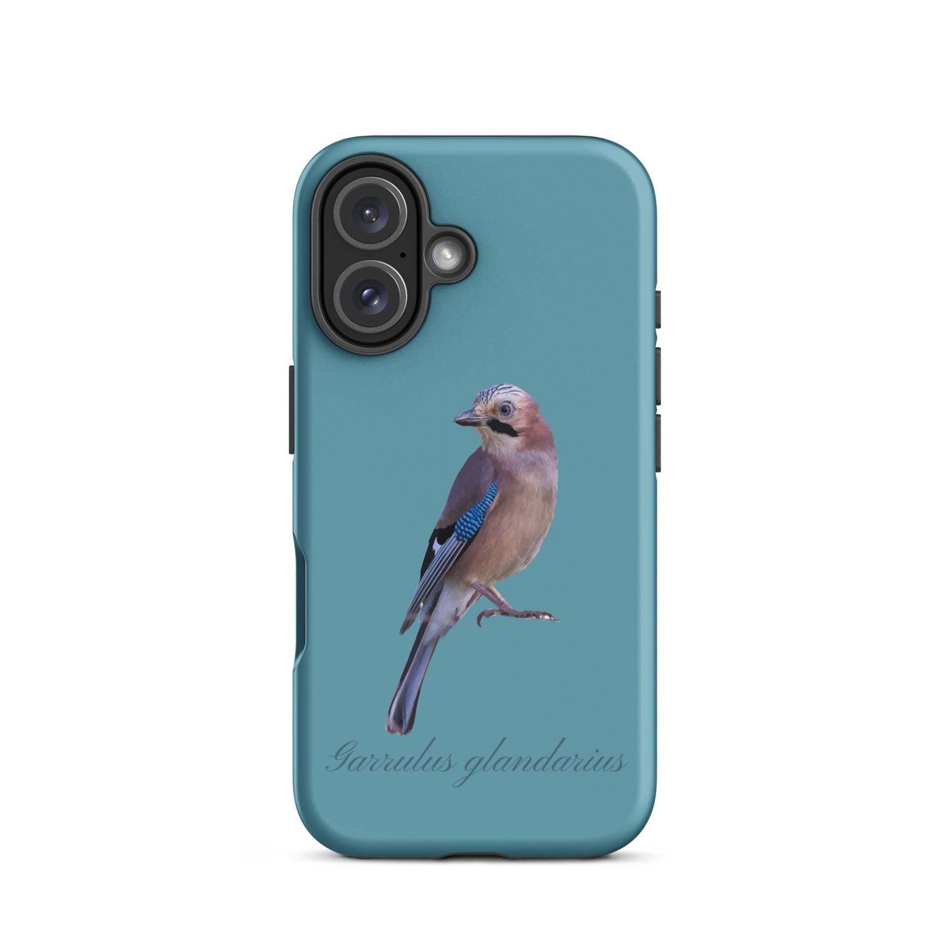 Schutzhülle für Apple iPhone: iPhone Case - Eichelhäher - Gletscherwasserblau 