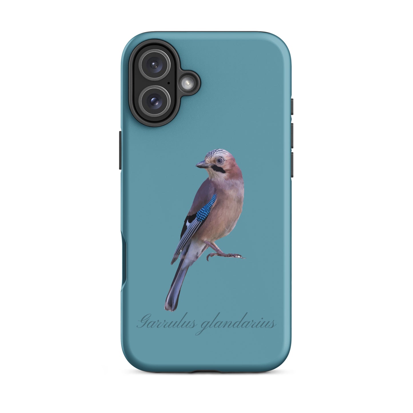 Schutzhülle für Apple iPhone: iPhone Case - Eichelhäher - Gletscherwasserblau 