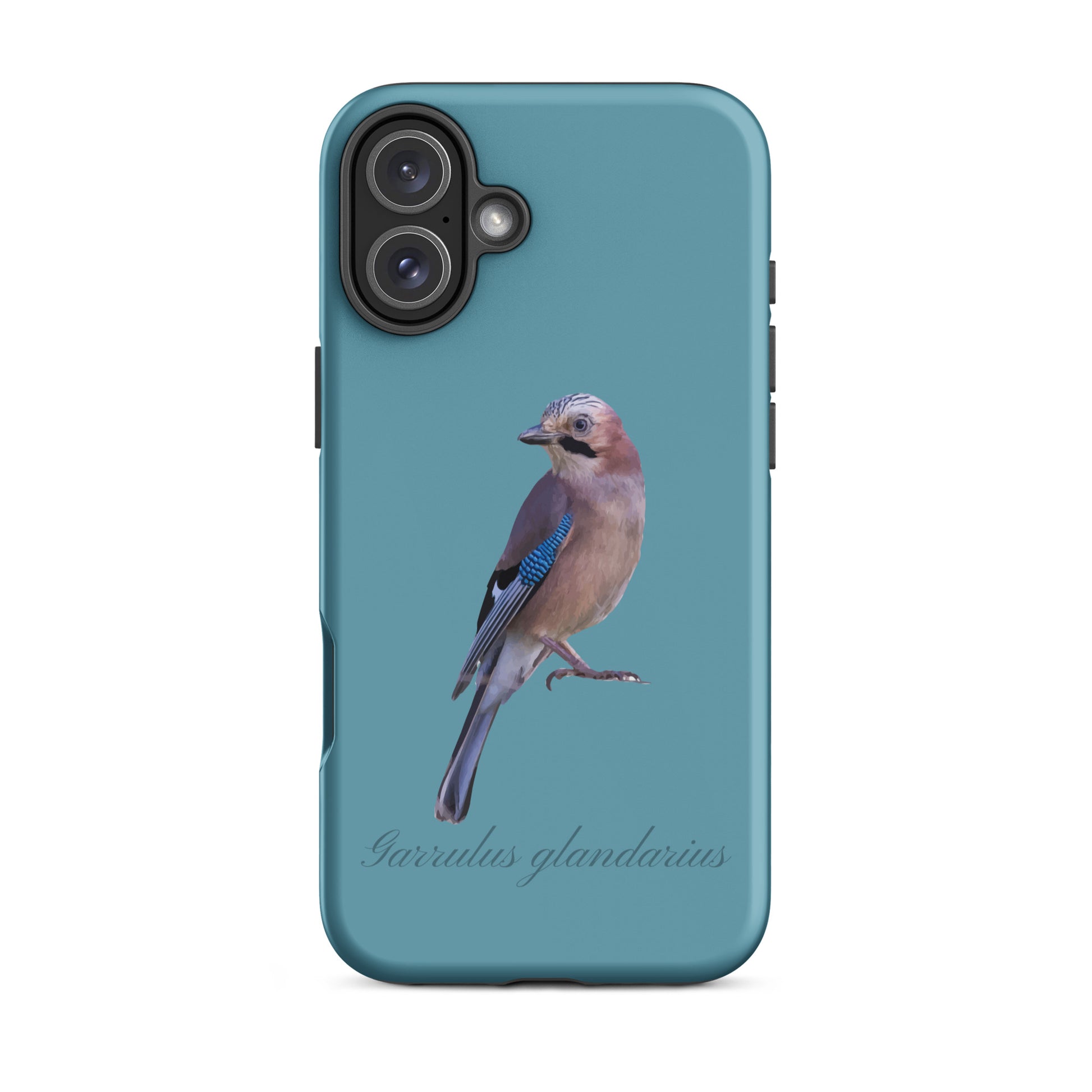 Schutzhülle für Apple iPhone: iPhone Case - Eichelhäher - Gletscherwasserblau 