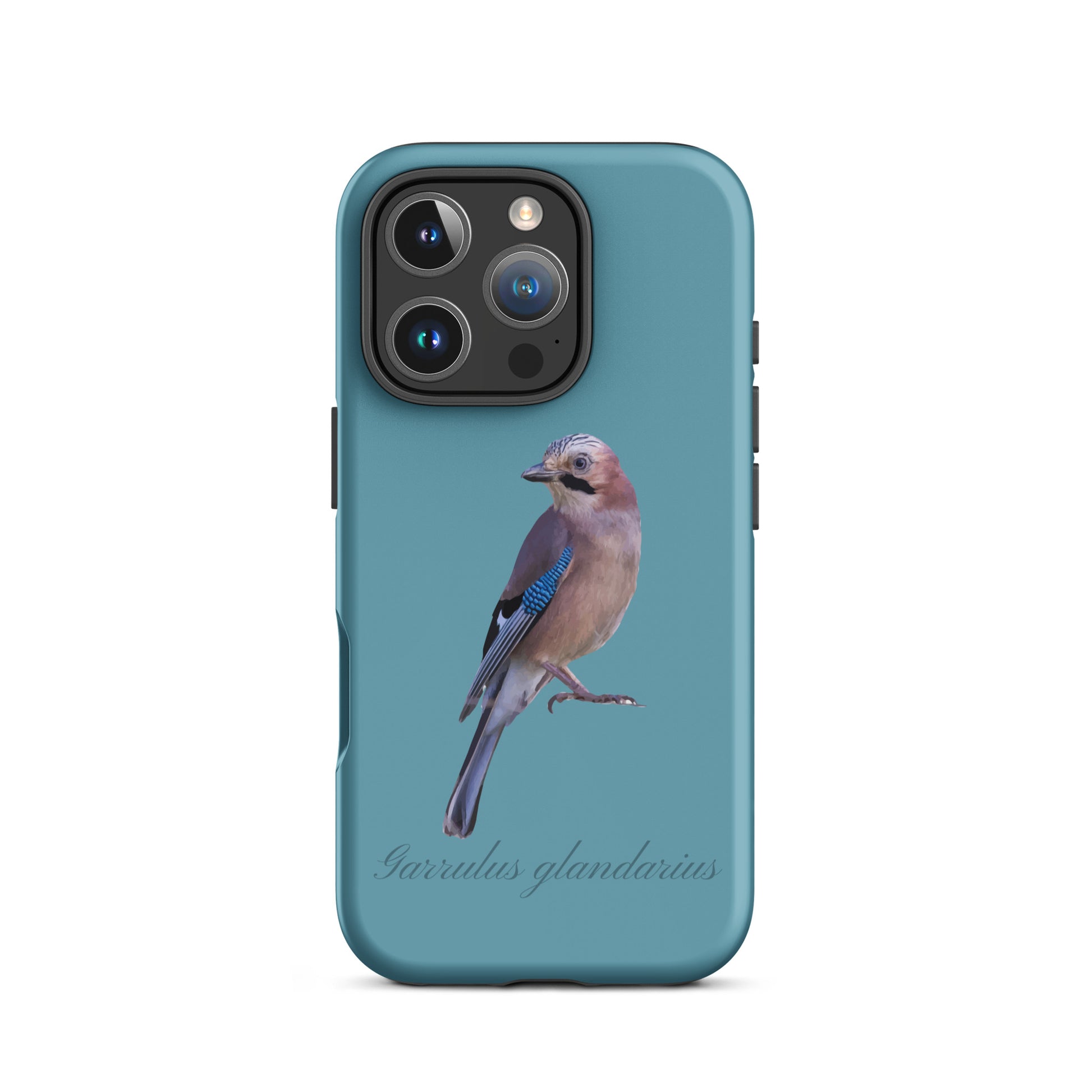 Schutzhülle für Apple iPhone: iPhone Case - Eichelhäher - Gletscherwasserblau 