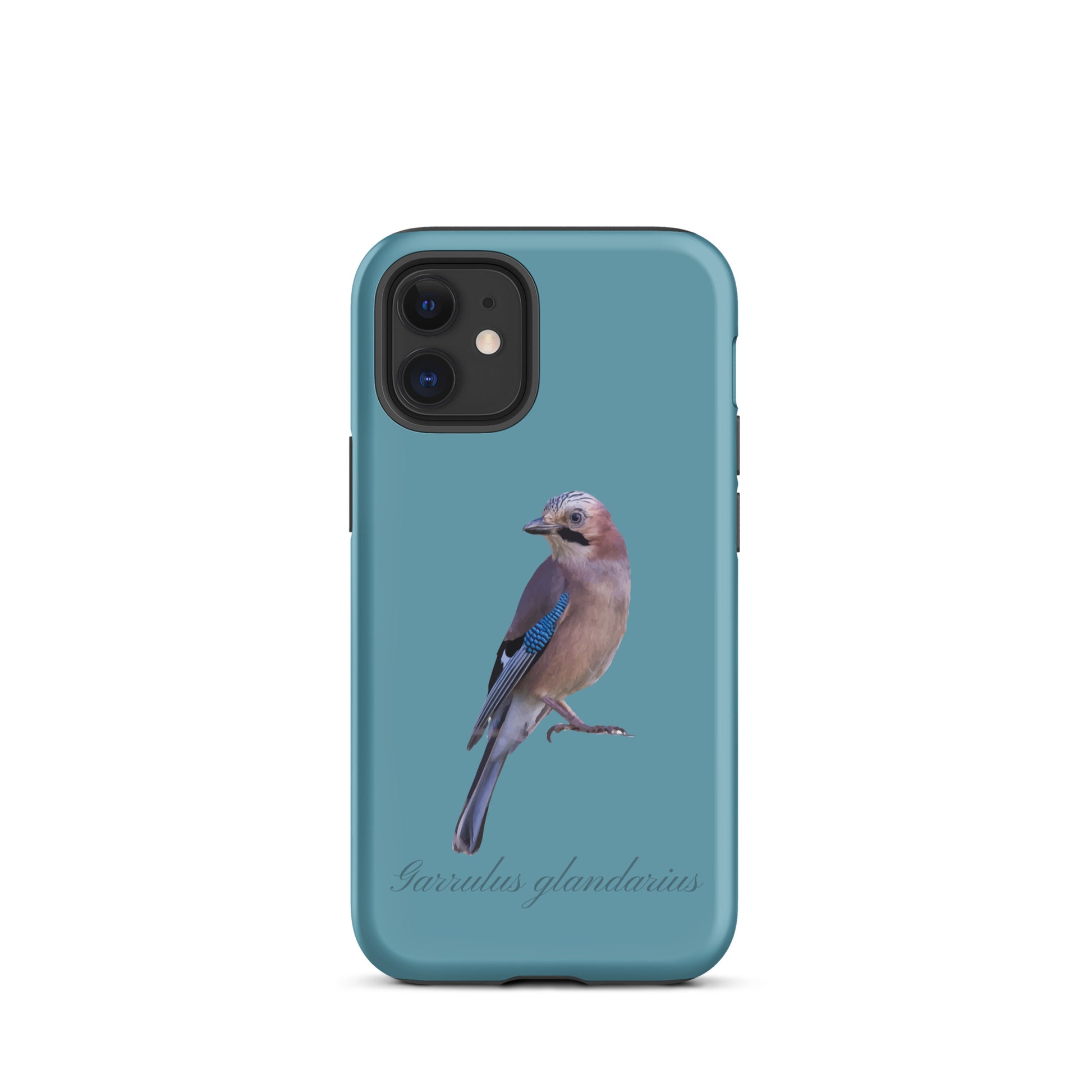 Schutzhülle für Apple iPhone: iPhone Case - Eichelhäher - Gletscherwasserblau 