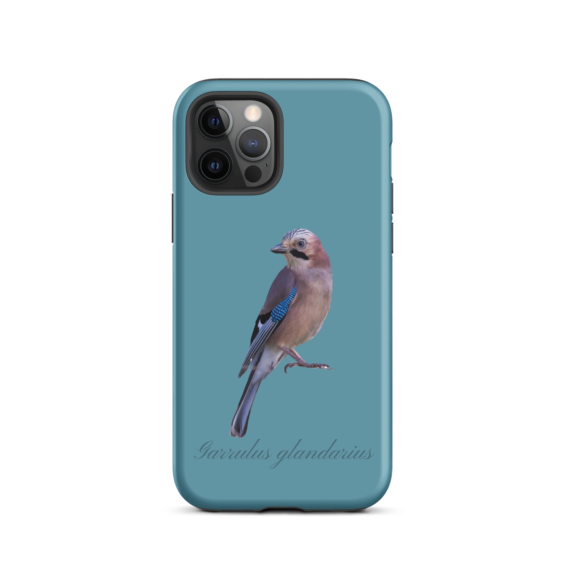 Schutzhülle für Apple iPhone: iPhone Case - Eichelhäher - Gletscherwasserblau 