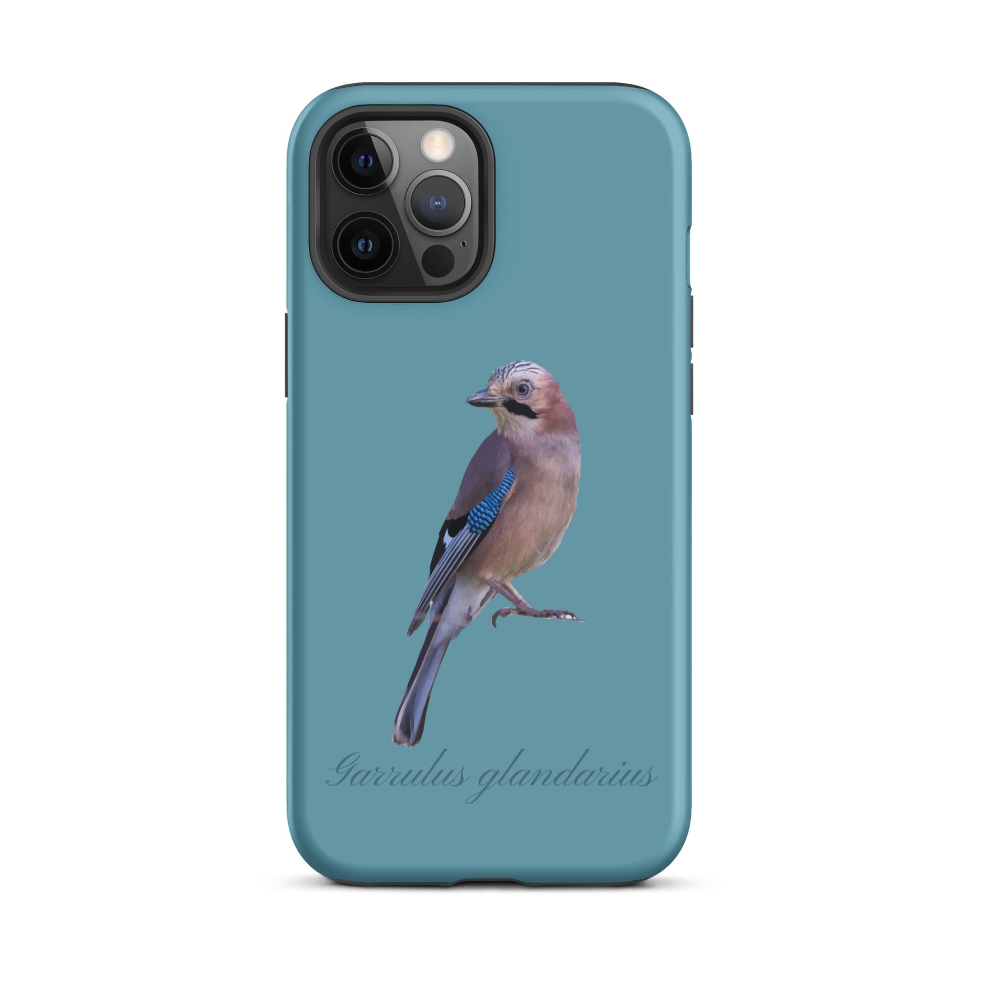 Schutzhülle für Apple iPhone: iPhone Case - Eichelhäher - Gletscherwasserblau 