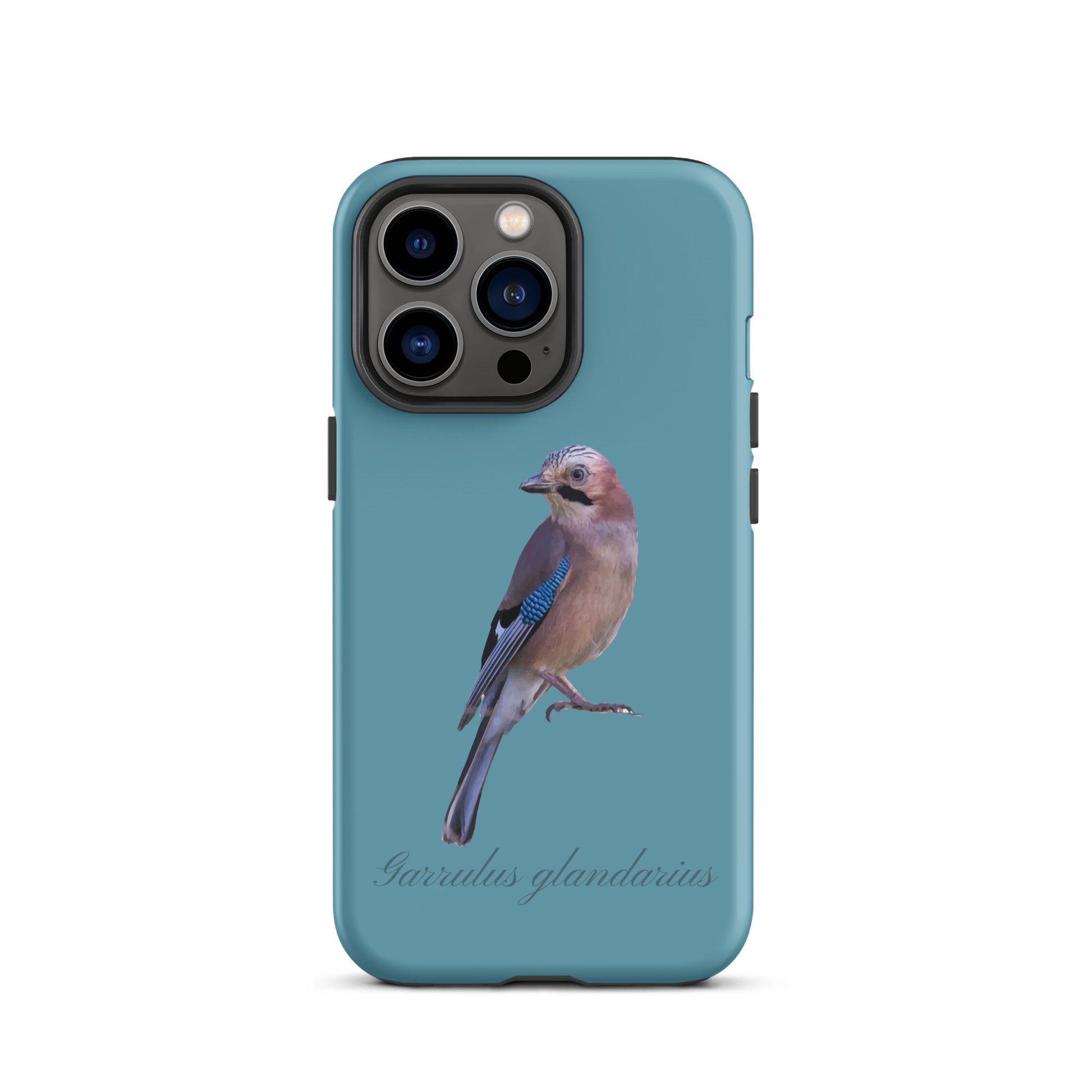 Schutzhülle für Apple iPhone: iPhone Case - Eichelhäher - Gletscherwasserblau 