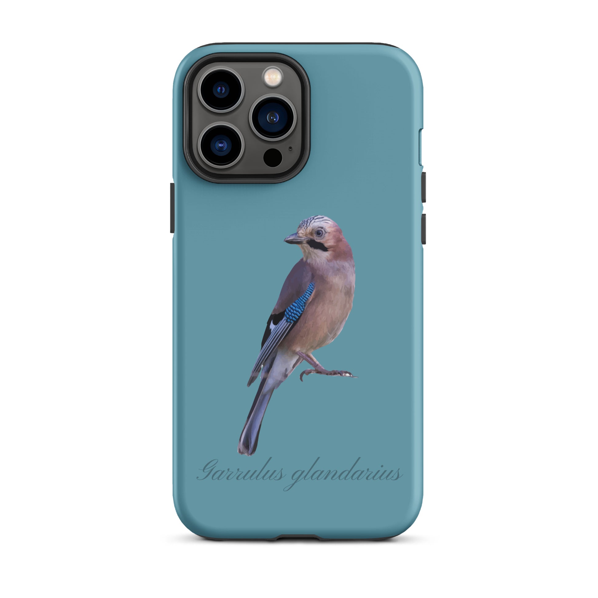 Schutzhülle für Apple iPhone: iPhone Case - Eichelhäher - Gletscherwasserblau 