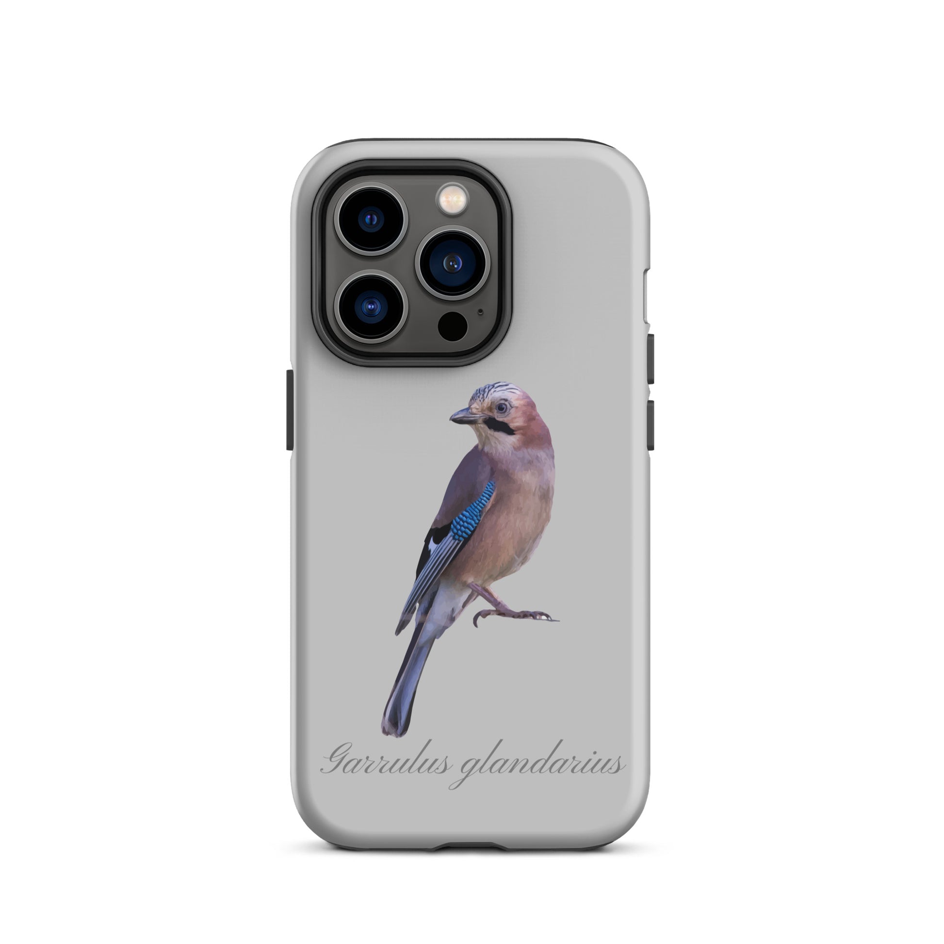 Schutzhülle für Apple iPhone: iPhone Case - Eichelhäher - Grau 