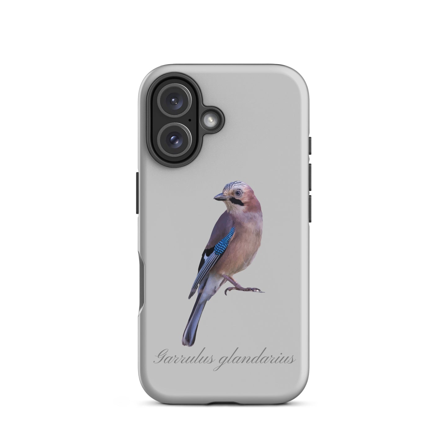 Graue iPhone-Hülle mit Eichelhäher-Motiv aus robustem Material, Schutzhülle für Apple iPhone