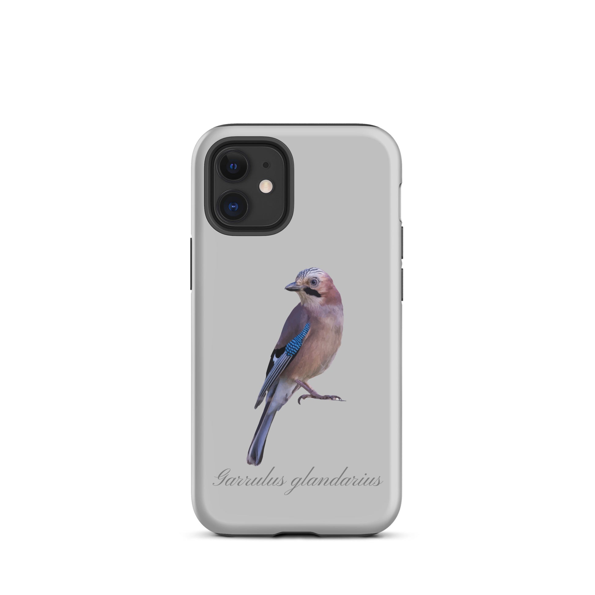 Schutzhülle für Apple iPhone: iPhone Case - Eichelhäher - Grau 