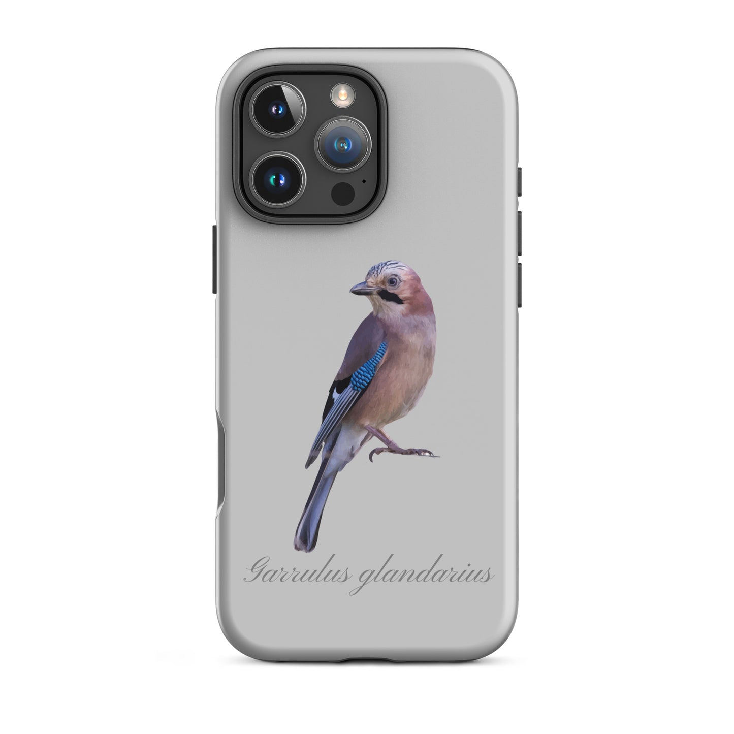 Graue iPhone-Hülle mit Eichelhäher-Motiv, schützende Silikonhandyhülle für Apple iPhone