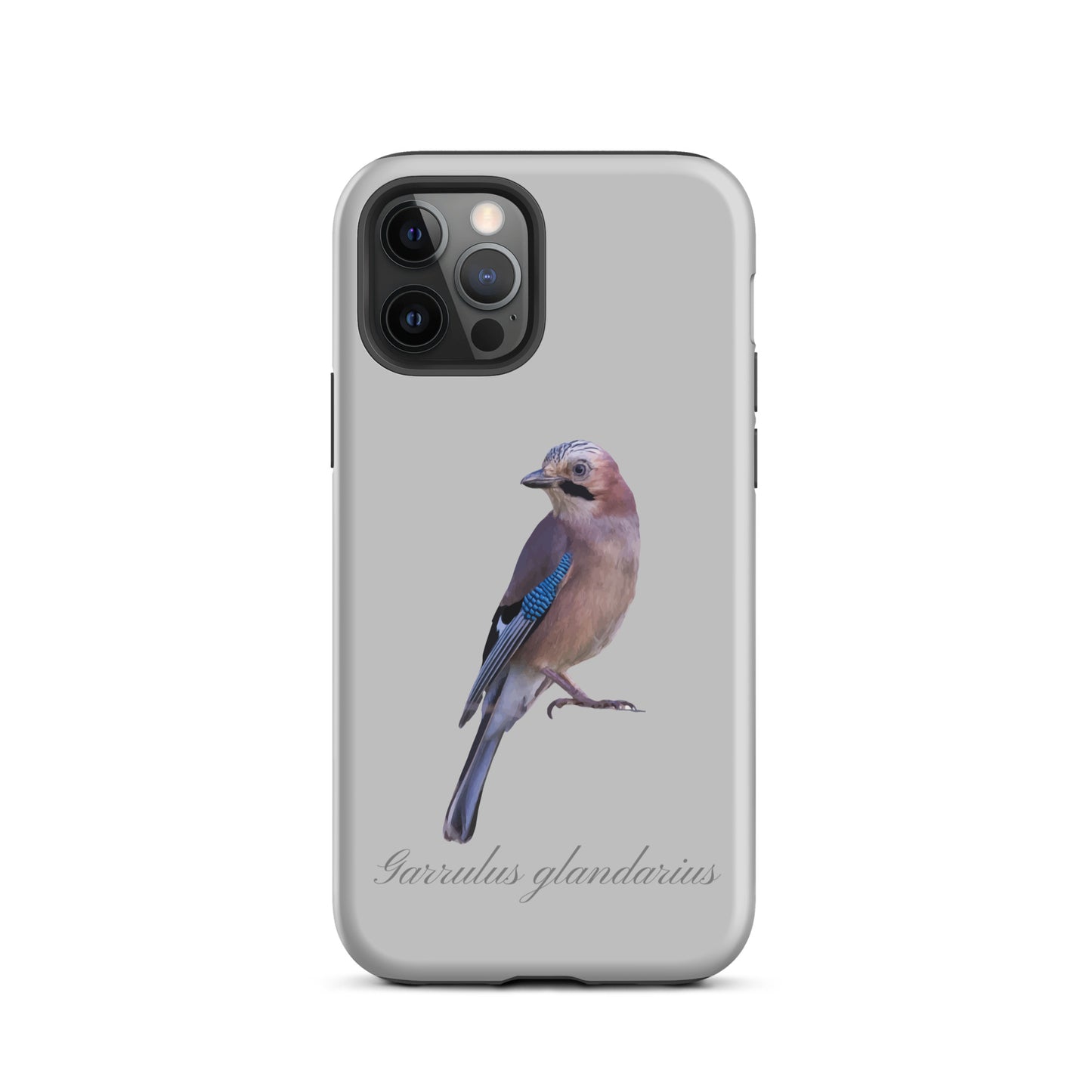 Graue iPhone-Hülle mit Eichelhäher-Motiv, schützende Silikonhülle für Apple iPhone