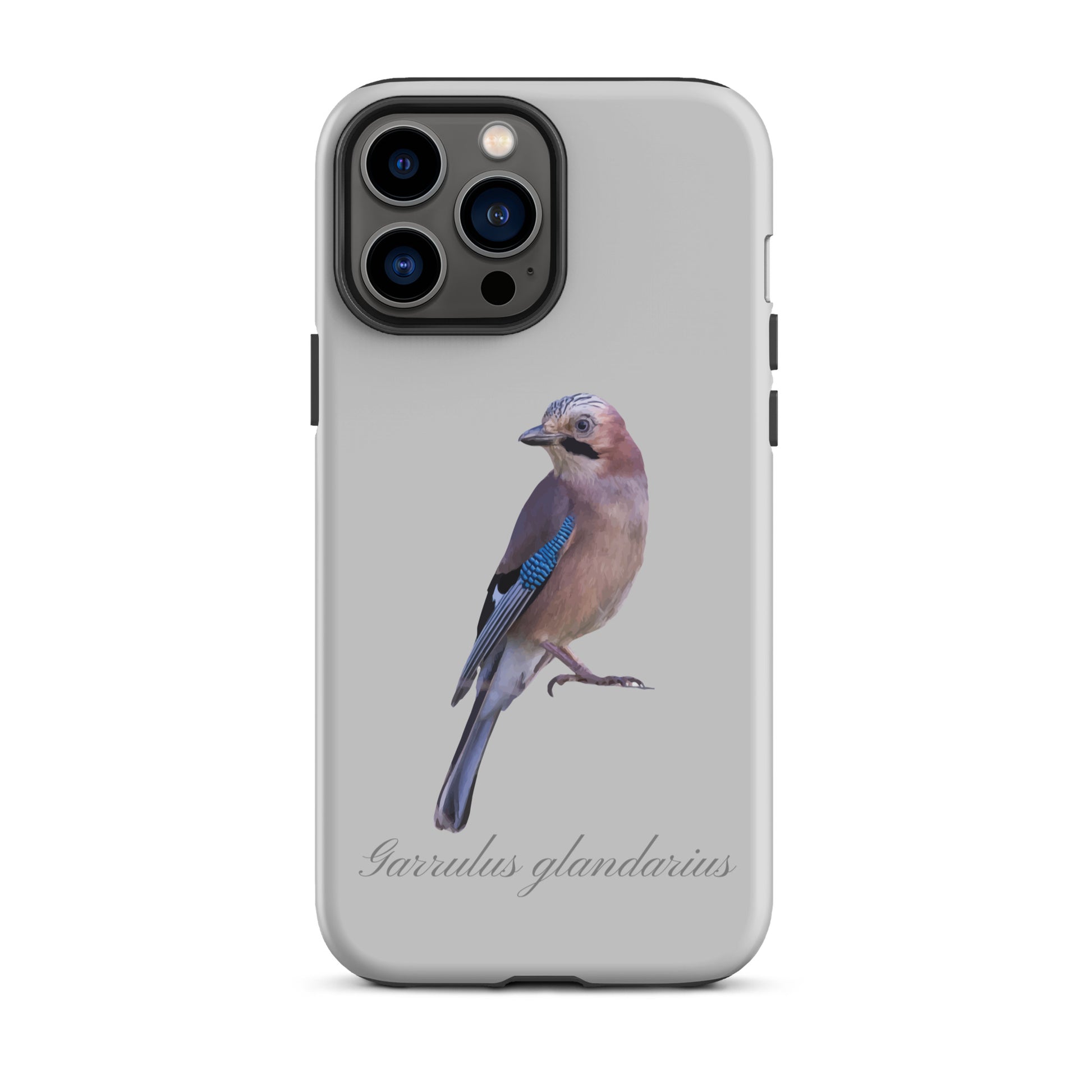 Graue iPhone-Hülle mit Eichelhäher-Motiv, schützende Silikonhülle für Apple iPhone