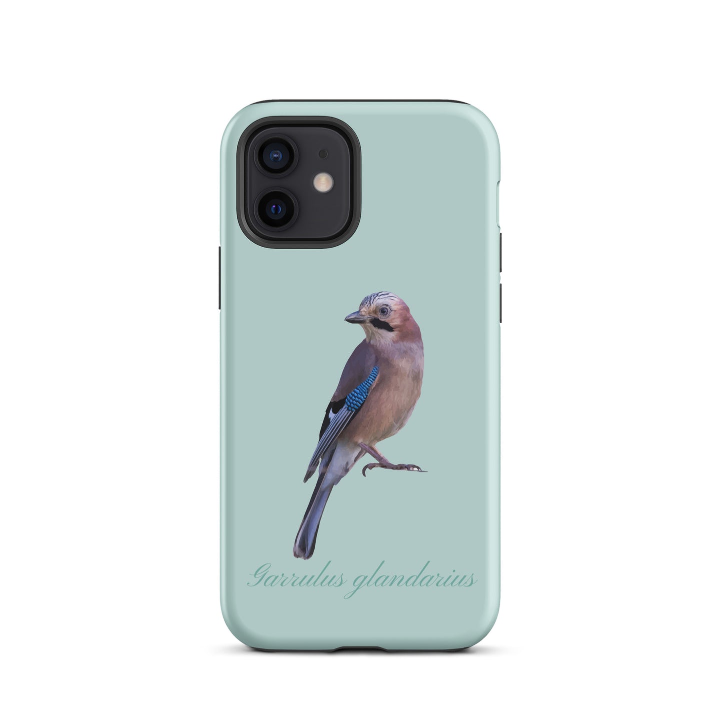 Schutzhülle für Apple iPhone: iPhone Case - Eichelhäher - Hellblau 