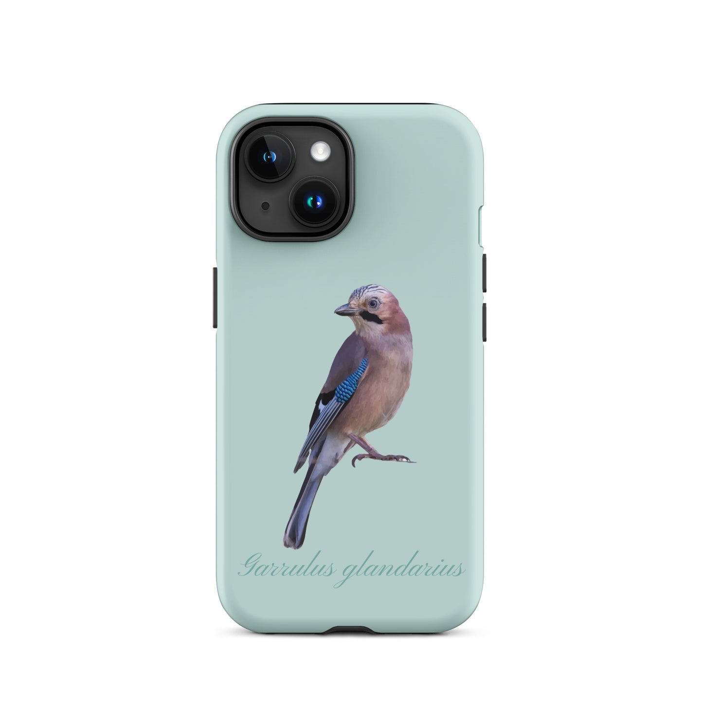 Schutzhülle für Apple iPhone: iPhone Case - Eichelhäher - Hellblau 