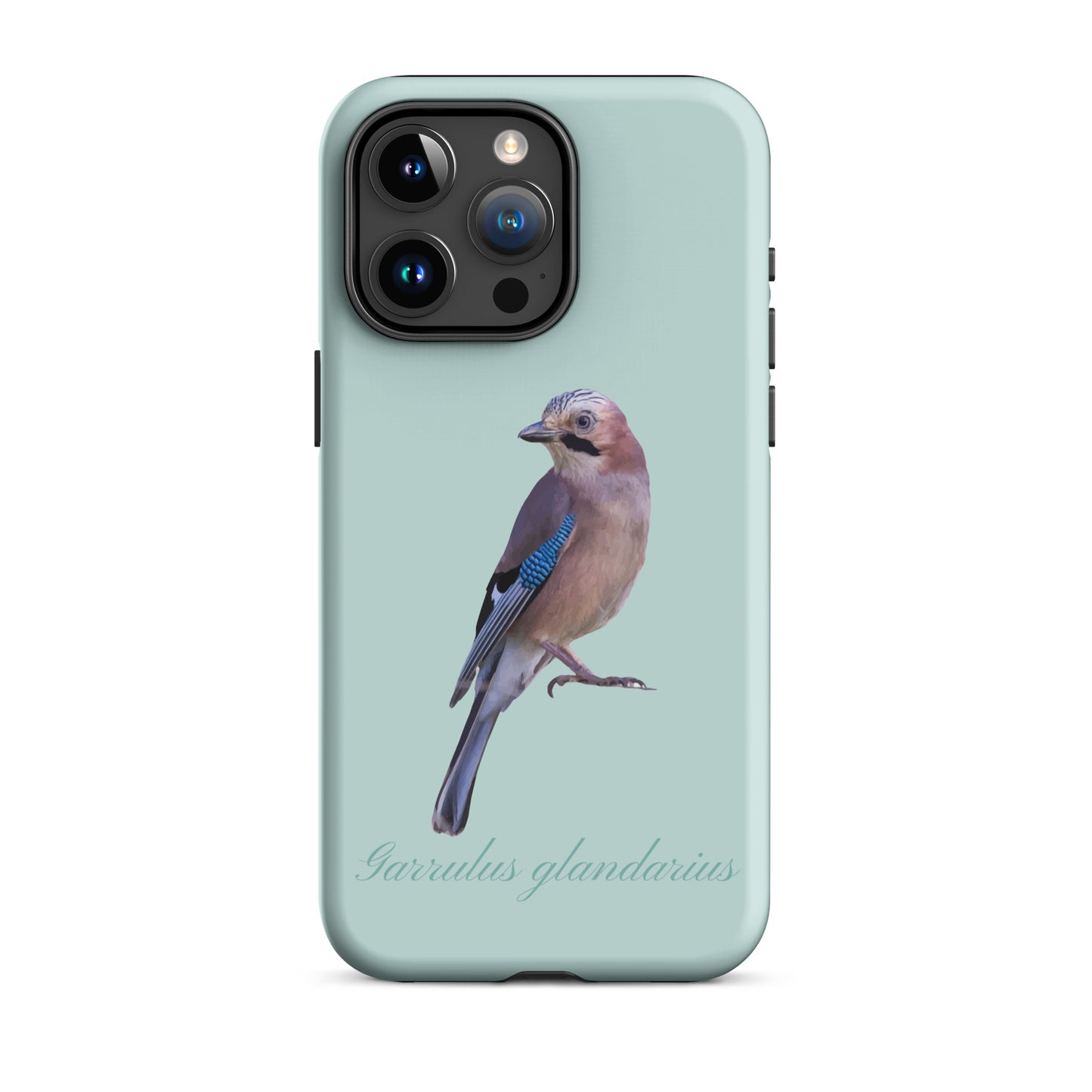 Schutzhülle für Apple iPhone: iPhone Case - Eichelhäher - Hellblau 