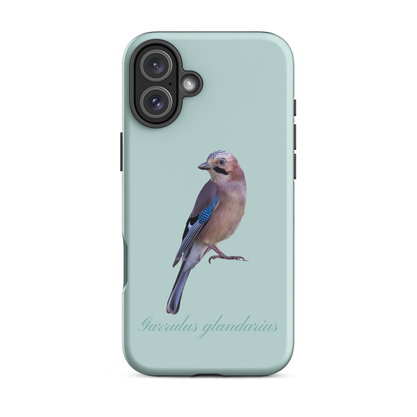 Schutzhülle für Apple iPhone: iPhone Case - Eichelhäher - Hellblau 