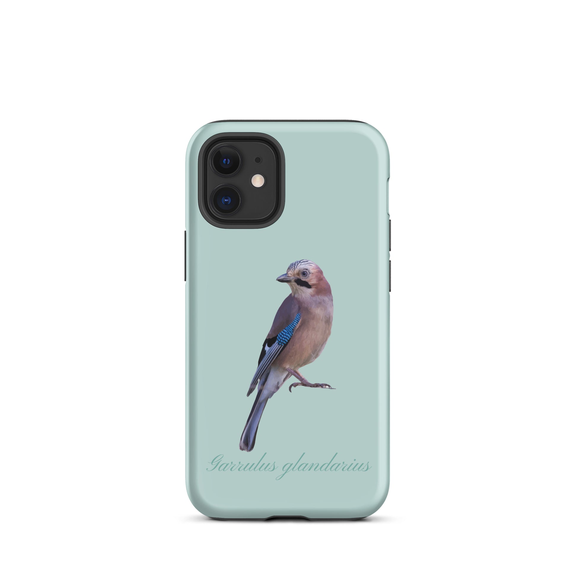 Schutzhülle für Apple iPhone: iPhone Case - Eichelhäher - Hellblau 