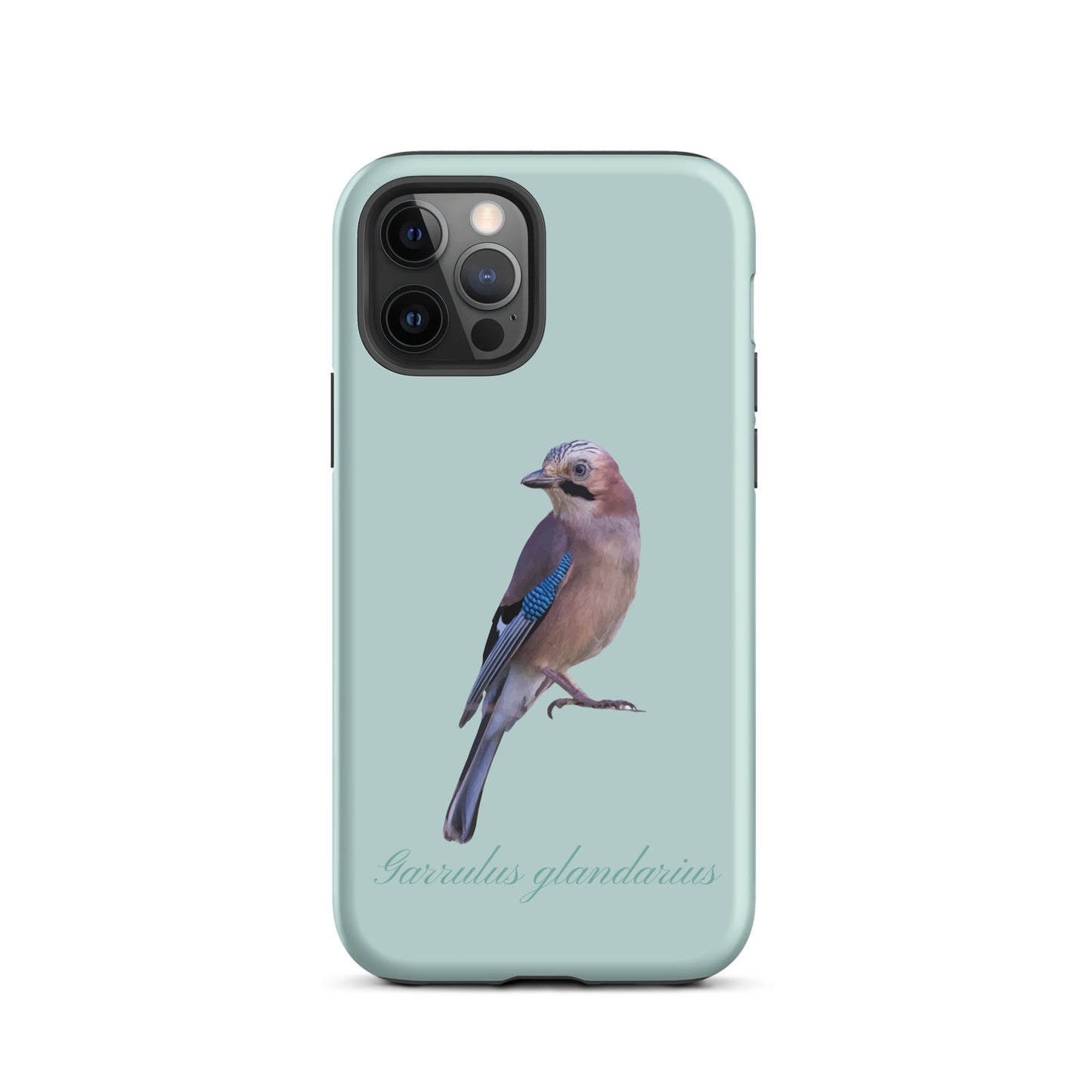 Schutzhülle für Apple iPhone: iPhone Case - Eichelhäher - Hellblau 