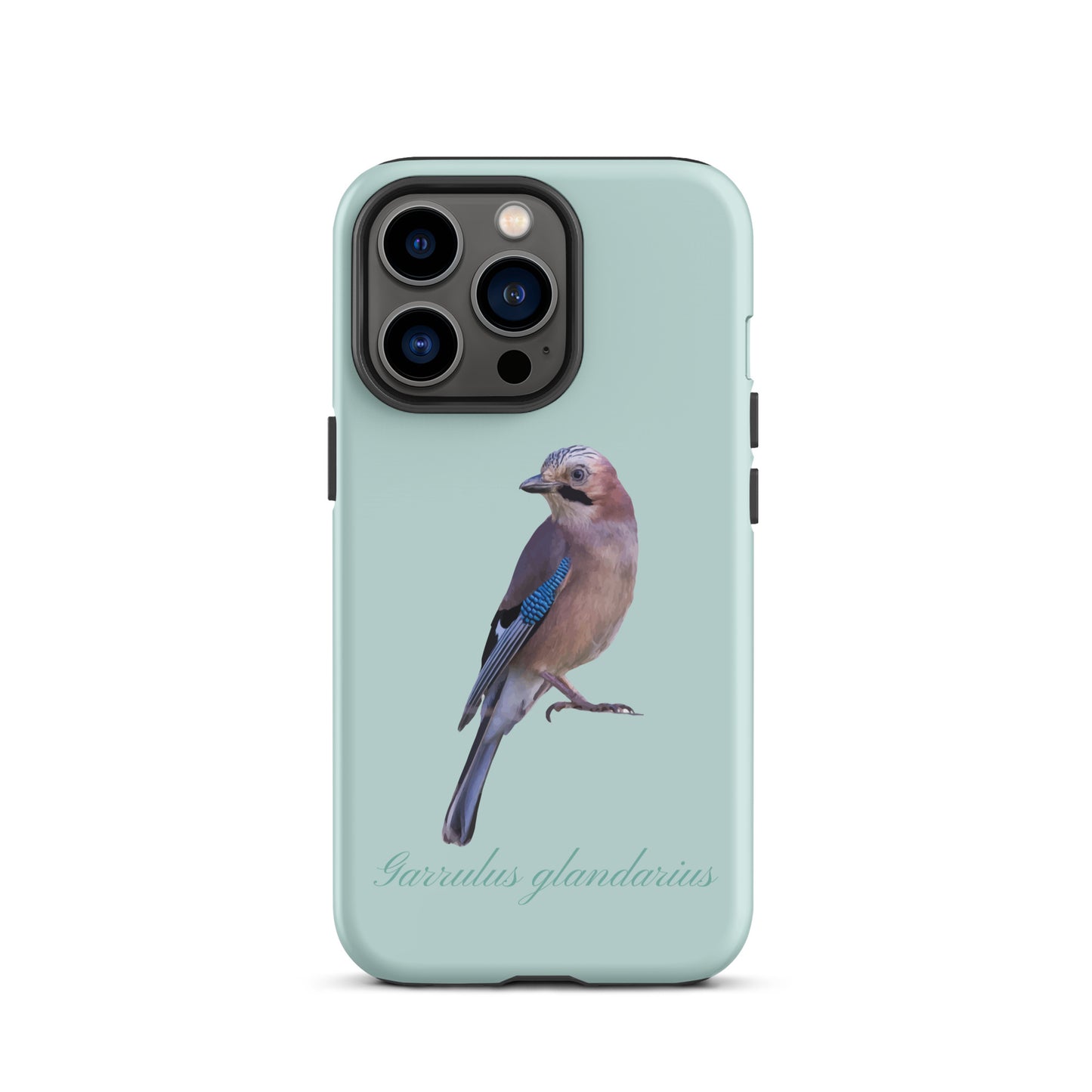 Schutzhülle für Apple iPhone: iPhone Case - Eichelhäher - Hellblau 