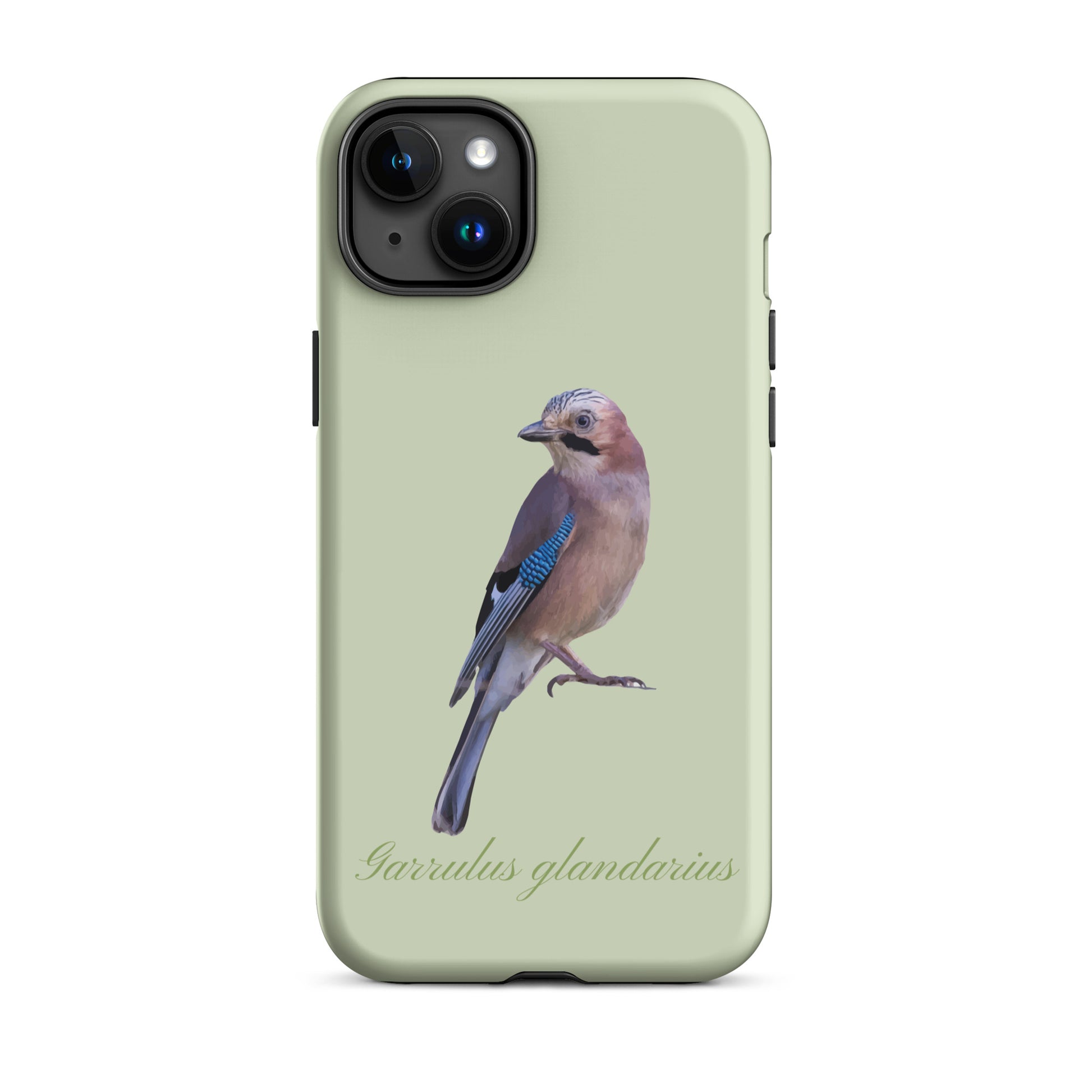 Hellgrüne iPhone Hülle mit Eichelhäher Design, Schutzhülle für Apple iPhone