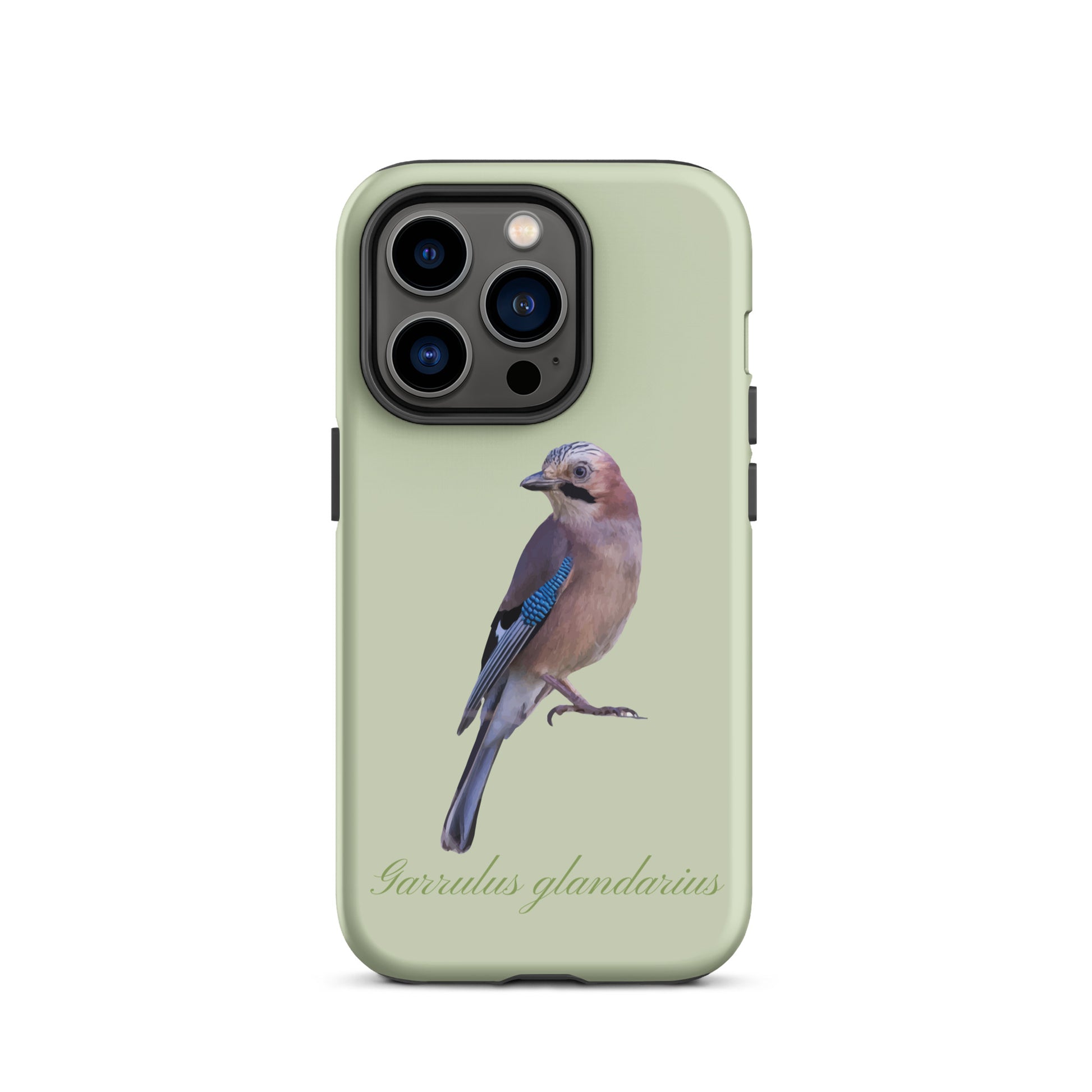 iPhone Handyhülle mit Eichelhäher Motiv in Hellgrün, Schutzhülle aus robustem Material für Apple iPhone.
