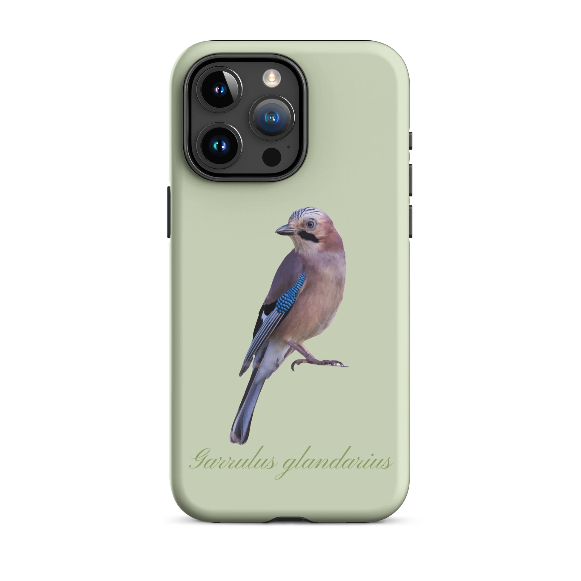 Hellgrüne iPhone-Hülle mit Eichelhäher-Design, Schutzhülle aus robustem Material für Apple iPhone.