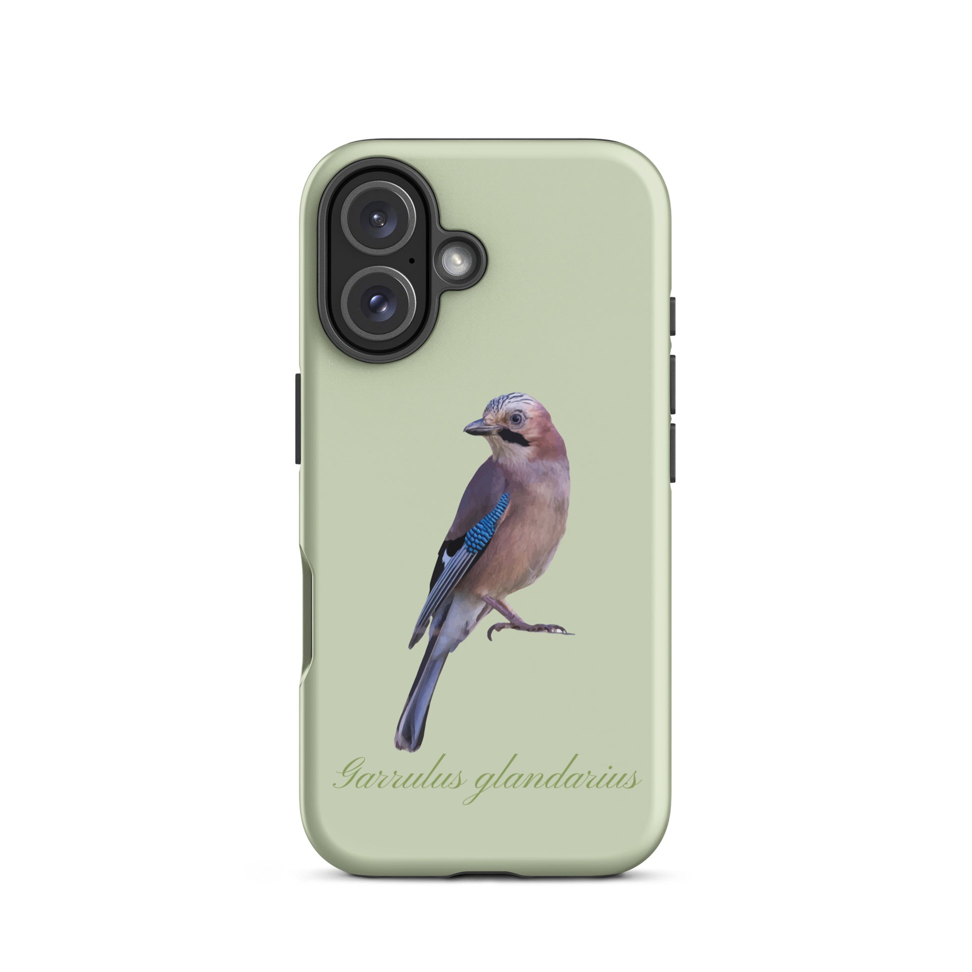 iPhone Hülle mit Eichelhäher-Motiv in Hellgrün, Schutzhülle aus robustem Material
