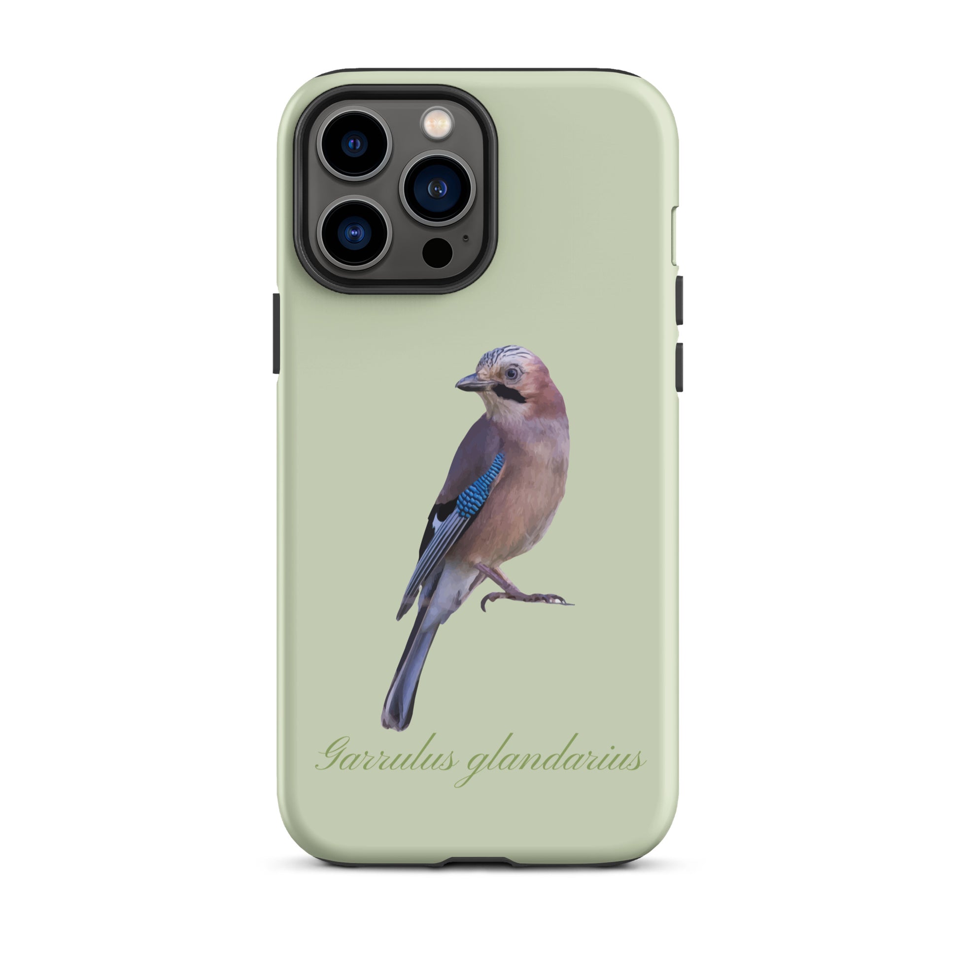 Hellgrüne iPhone Hülle mit Eichelhäher Motiv aus robustem Kunststoff