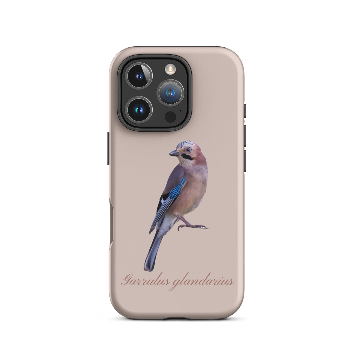 Schutzhülle für Apple iPhone: iPhone Case - Eichelhäher - Rosa 