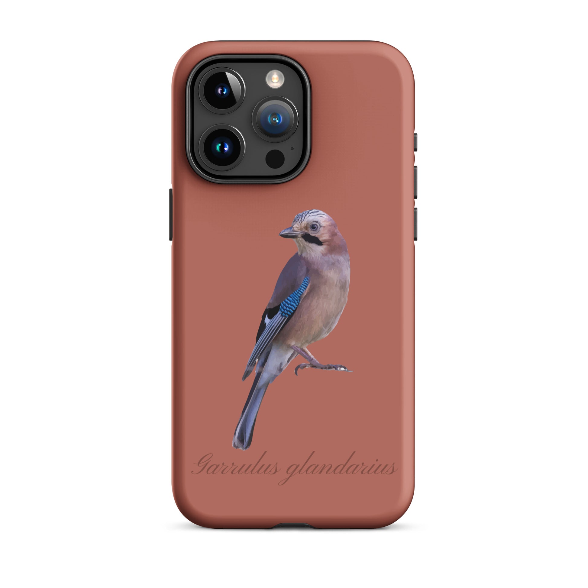 Schutzhülle für Apple iPhone: iPhone Case - Eichelhäher - Ziegelrot 