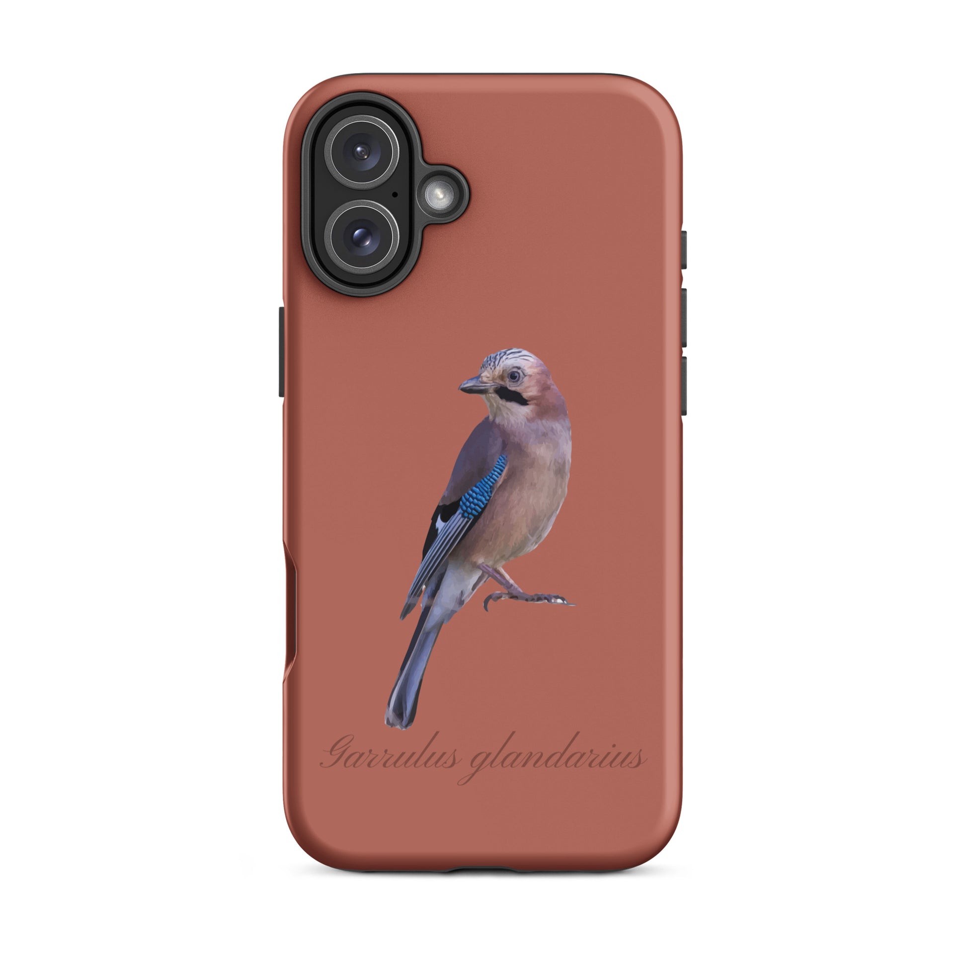 Schutzhülle für Apple iPhone: iPhone Case - Eichelhäher - Ziegelrot 