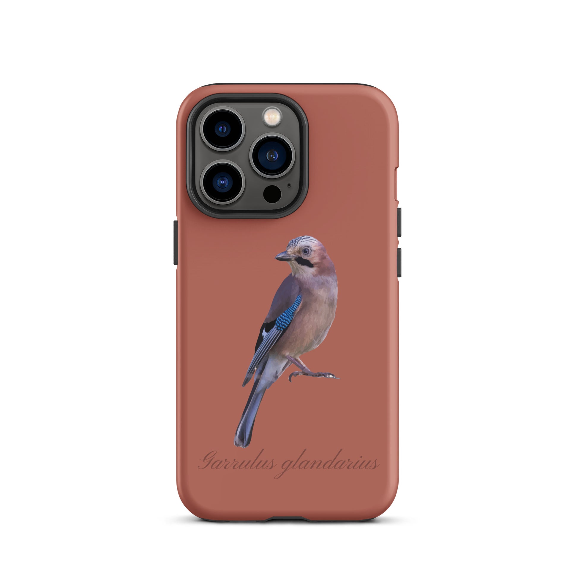 Schutzhülle für Apple iPhone: iPhone Case - Eichelhäher - Ziegelrot 