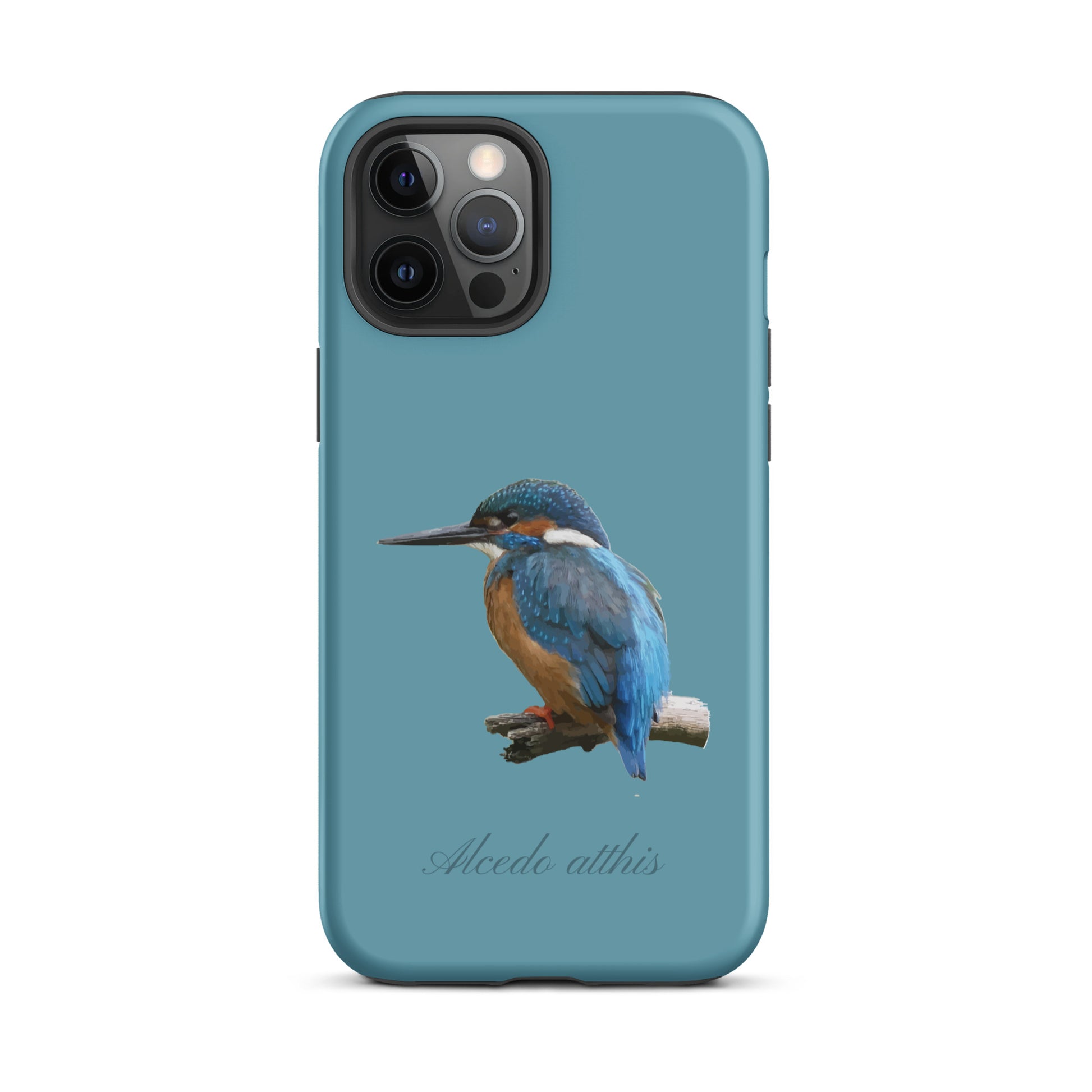 Schutzhülle für Apple iPhone: iPhone Case - Eisvogel - Gletscherwasserblau 